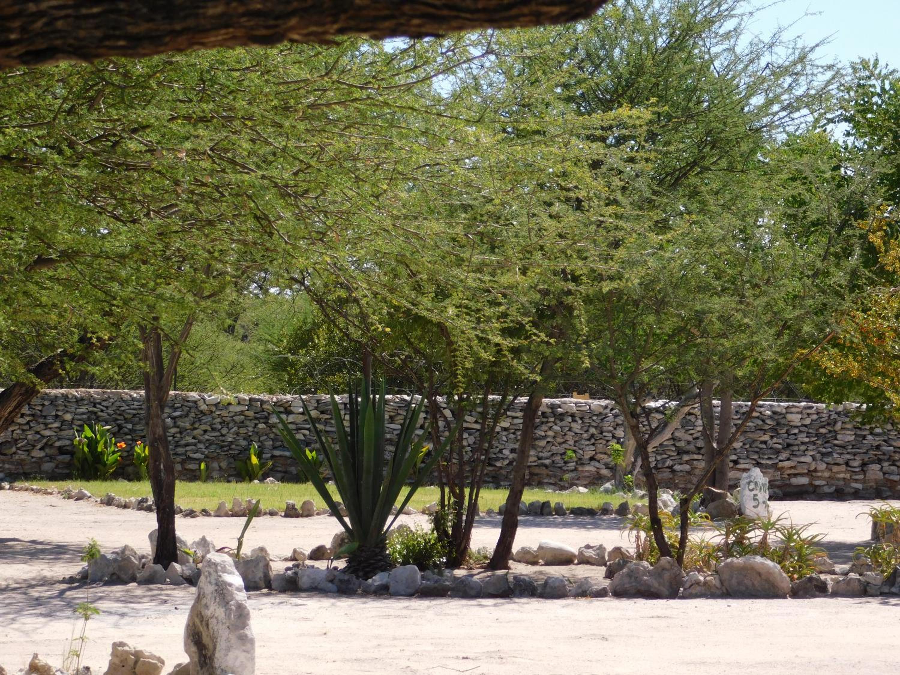 Empty Lot photo 1