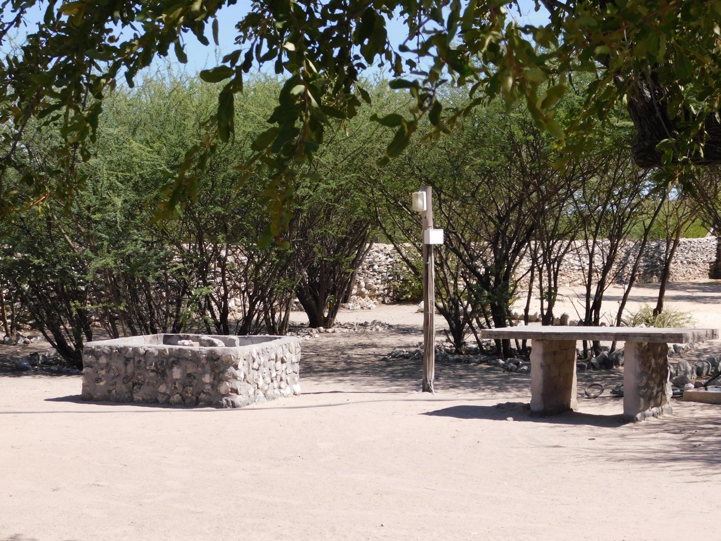 Empty Lot photo 2