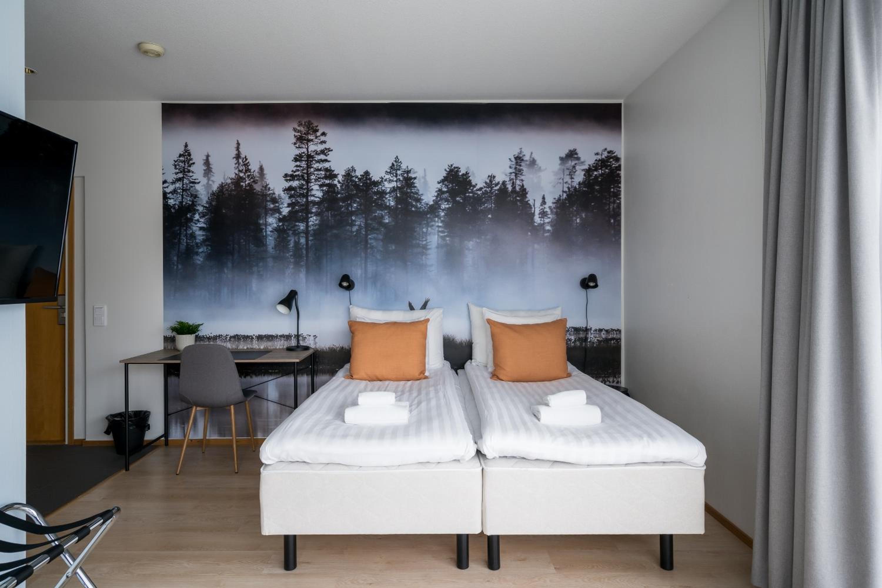 Superior Twin Room with City View photo 3