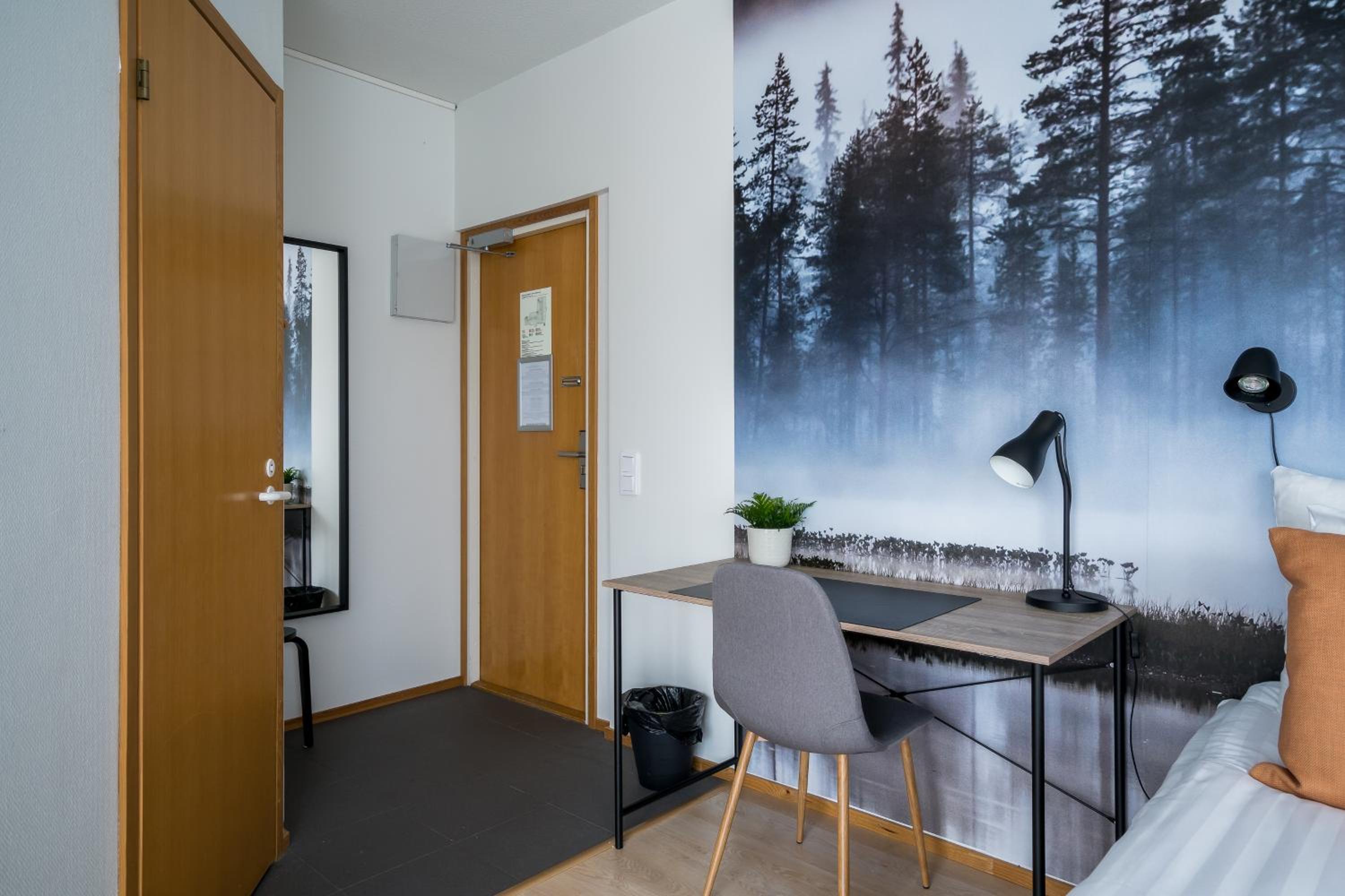 Superior Twin Room with City View photo 2