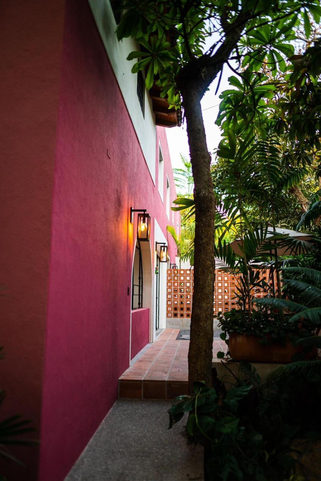 Quadruple Room with Terrace photo 2