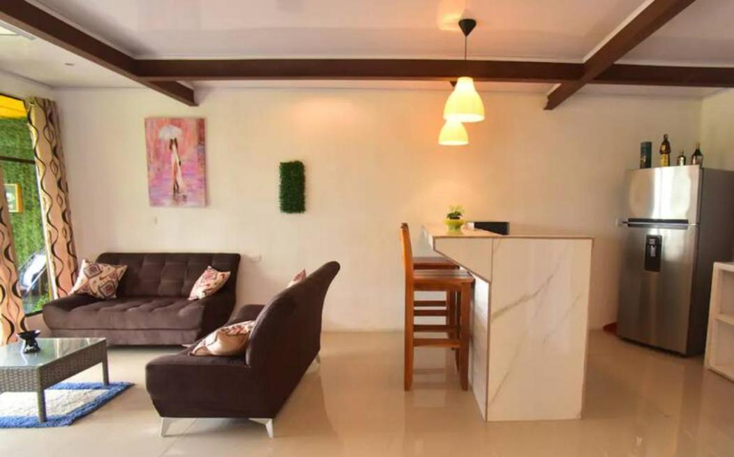 Duplex Apartment photo 3