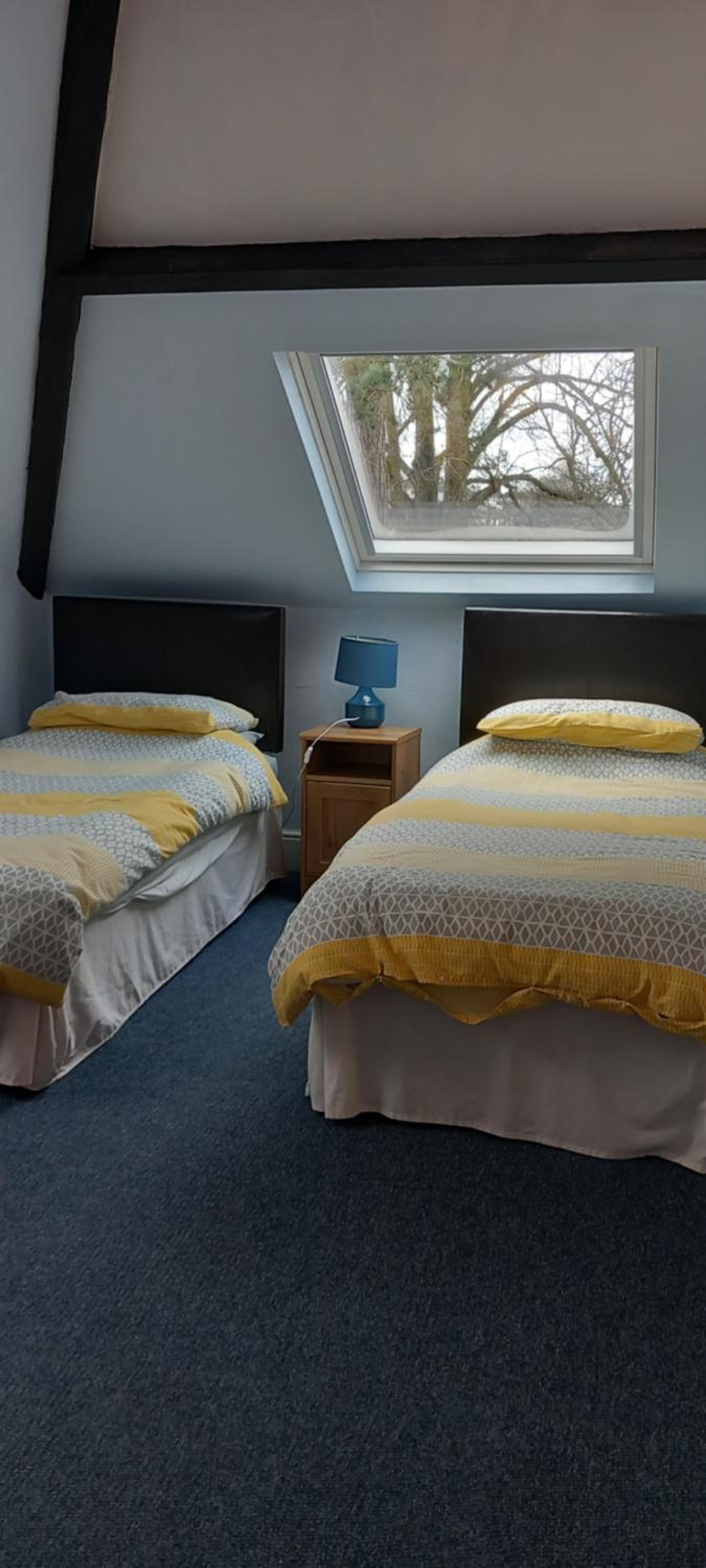 Standard Twin Room with Mountain View photo 2
