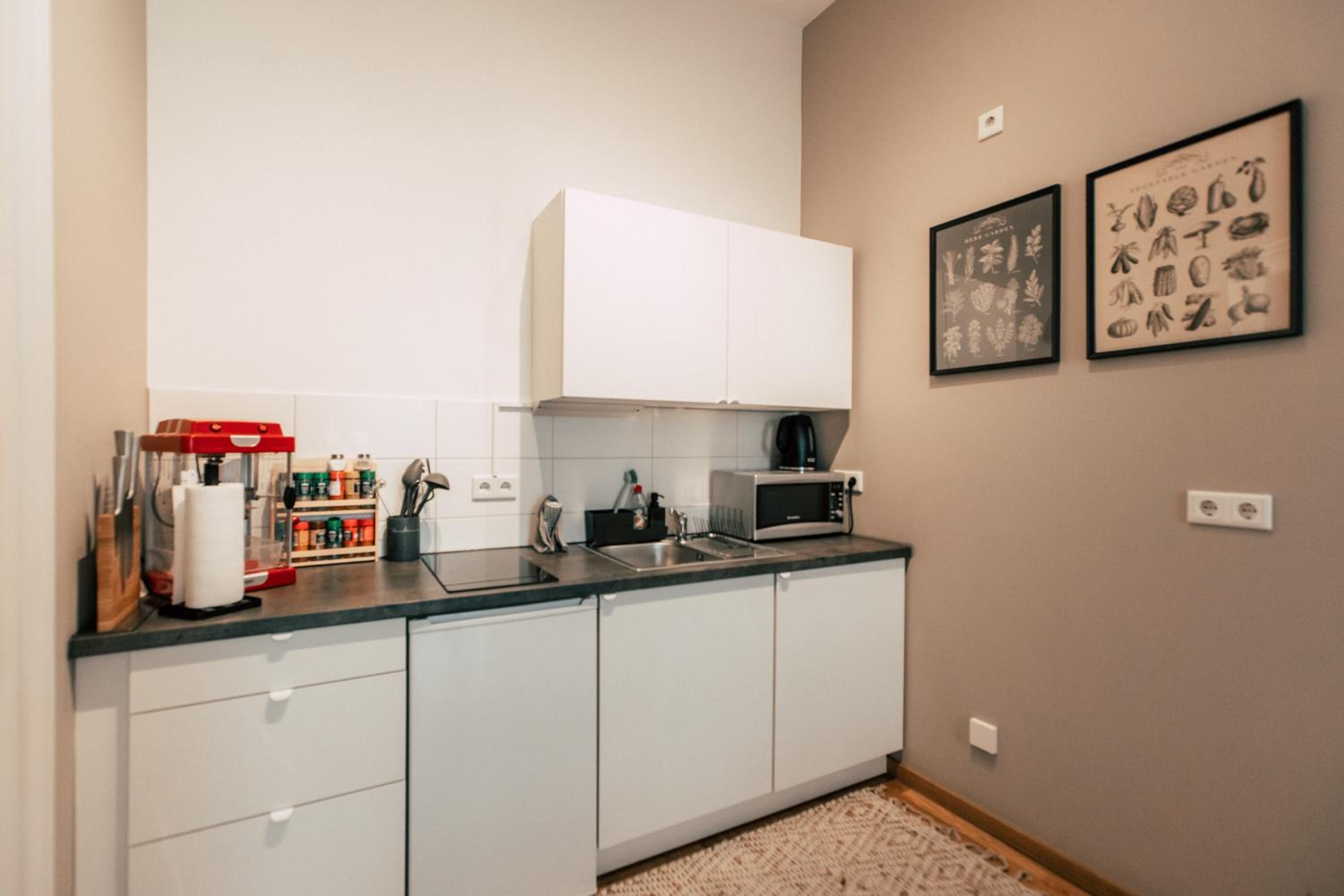 Large Two-Bedroom Apartment "Big Boho" photo 3