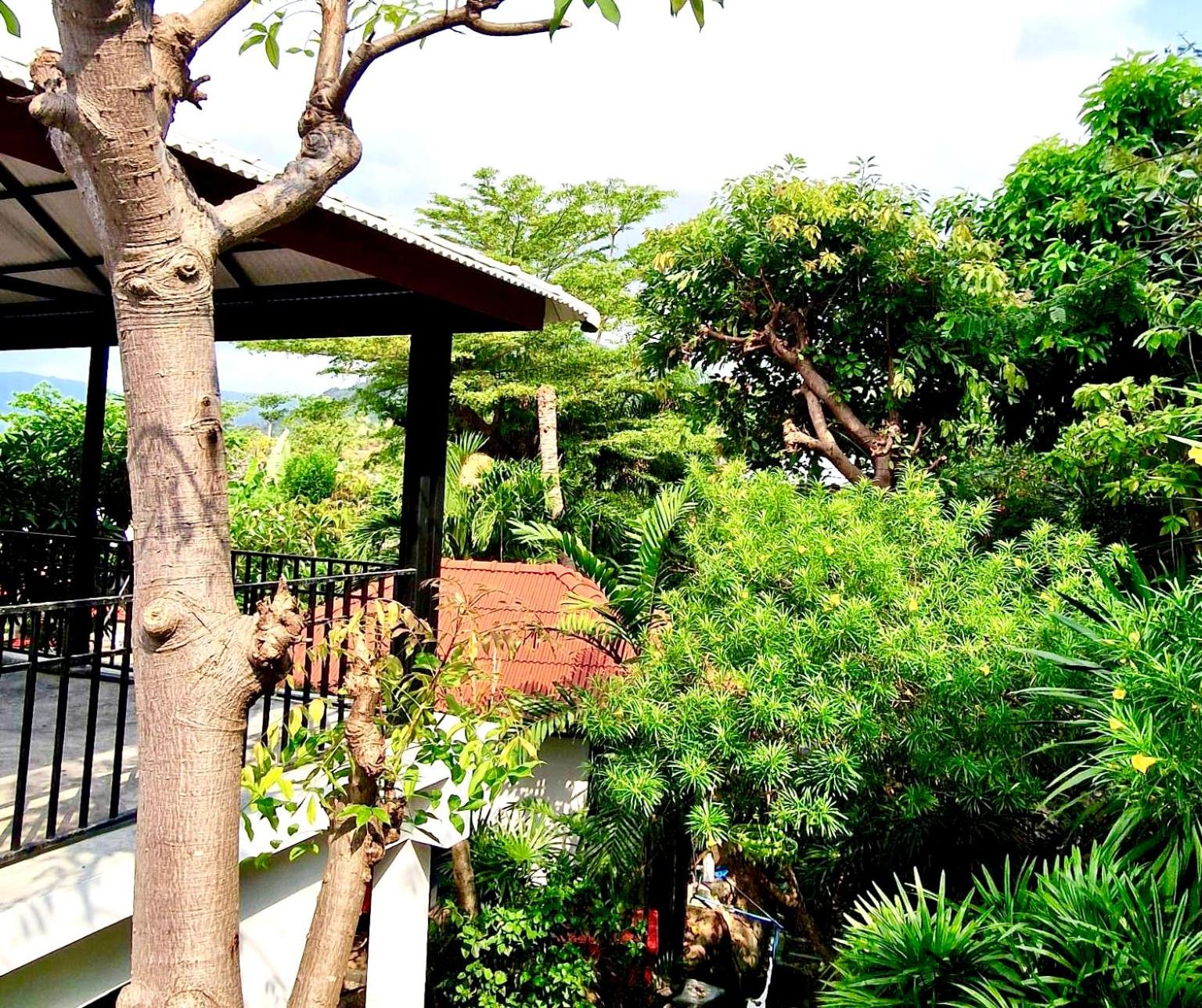 Standard Bungalow photo 2