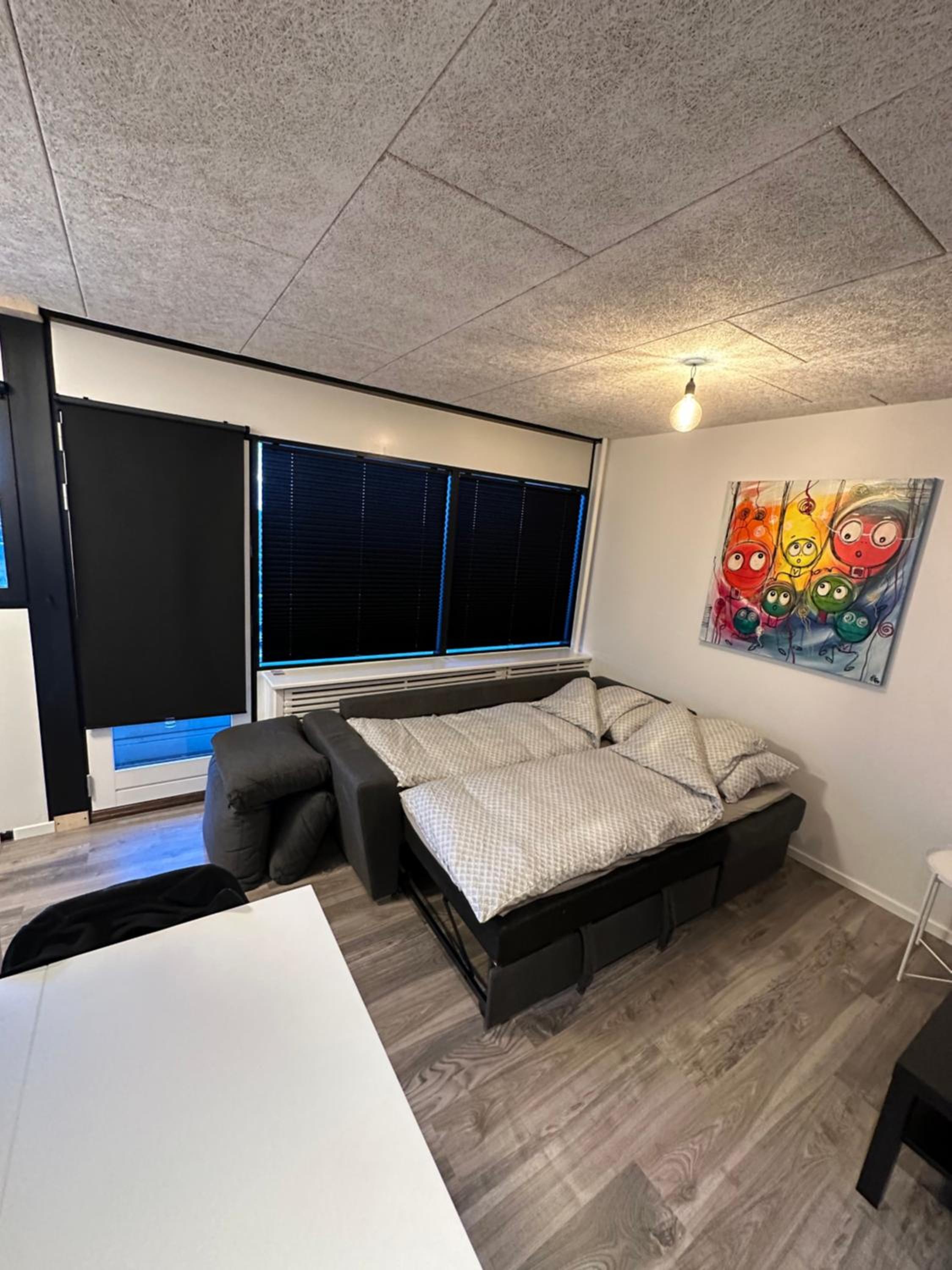 One-Bedroom Apartment photo 3