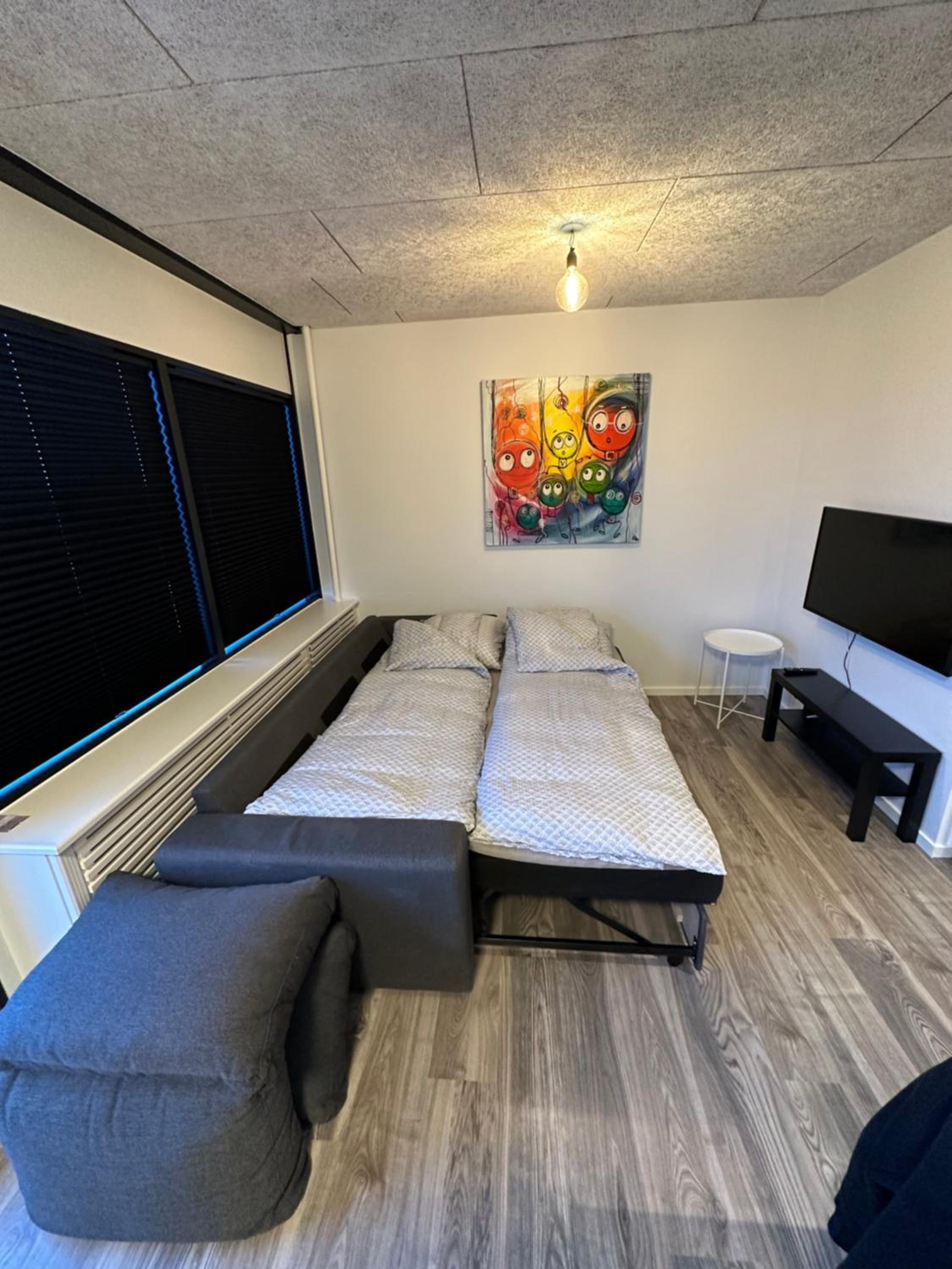 One-Bedroom Apartment photo 2
