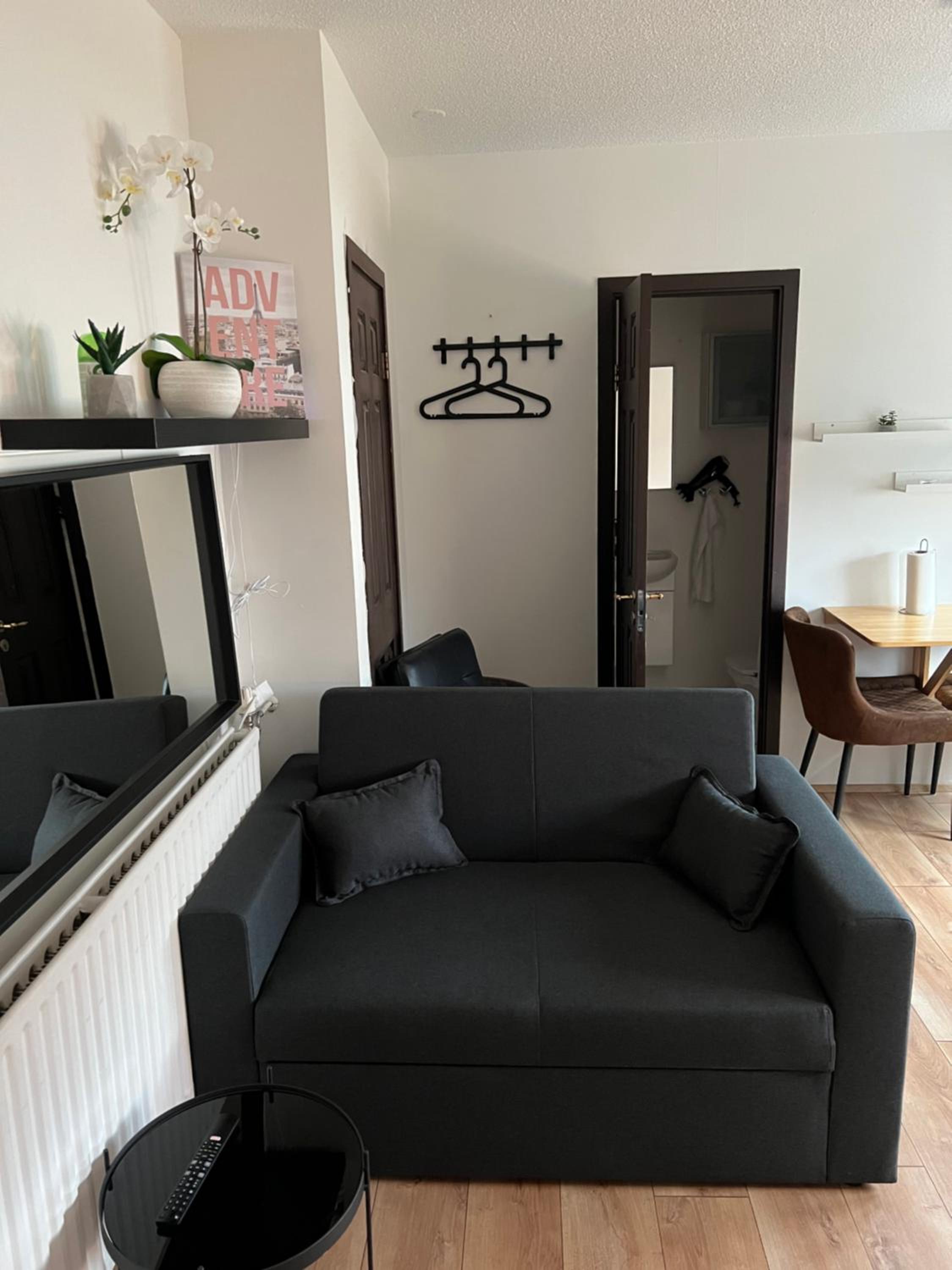 One-Bedroom Apartment photo 3