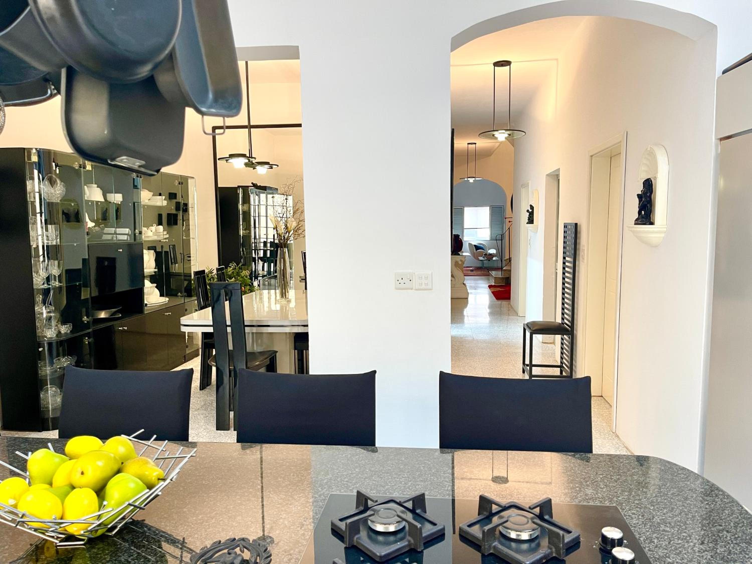 Duplex Apartment photo 3