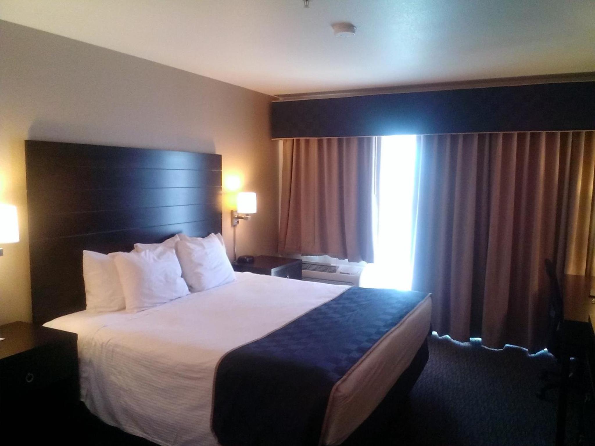 1 King Bed, Studio Suite, Non-Smoking - Photo 1