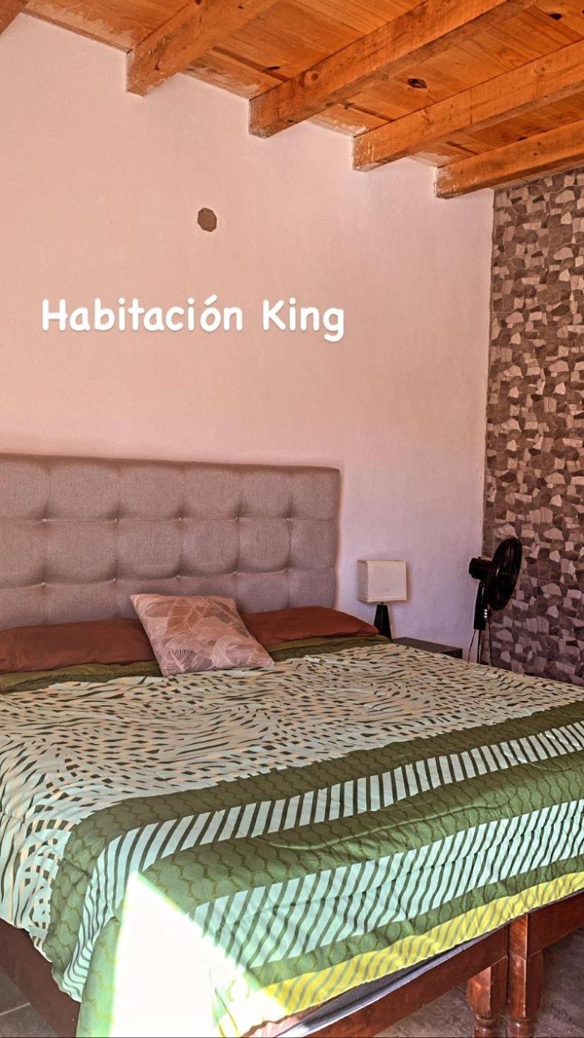 Standard King Room - Photo 4