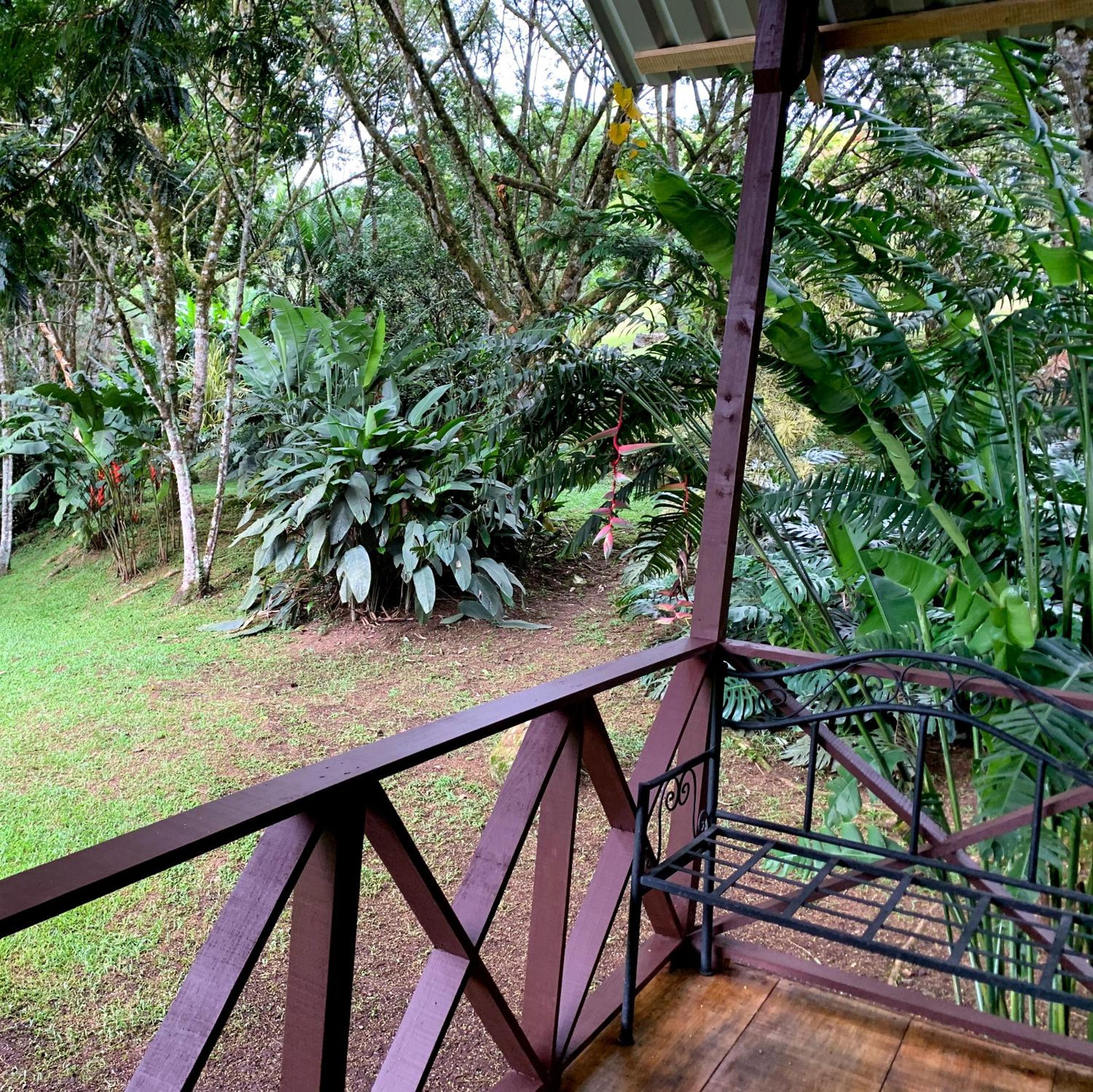 Bungalow with Garden View photo 3