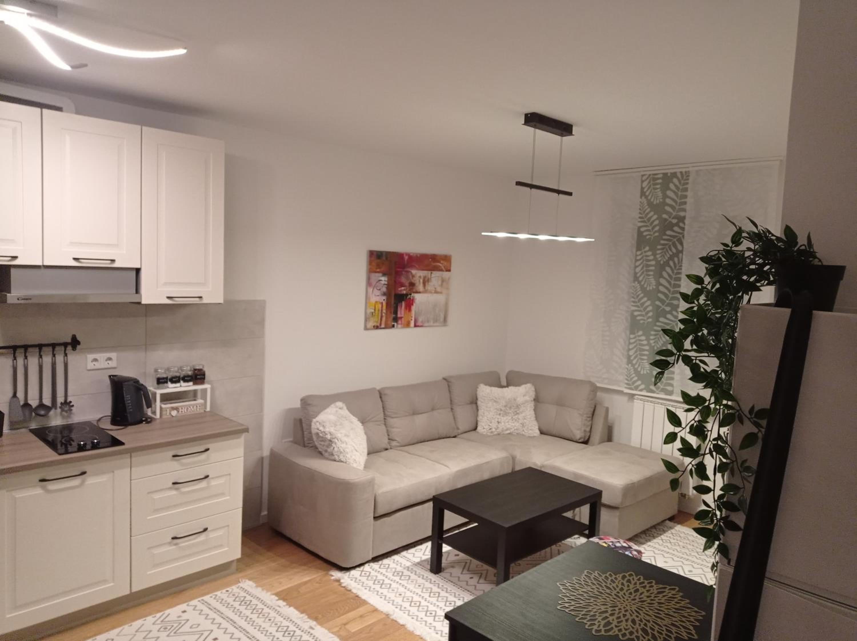 One-Bedroom Apartment photo 3