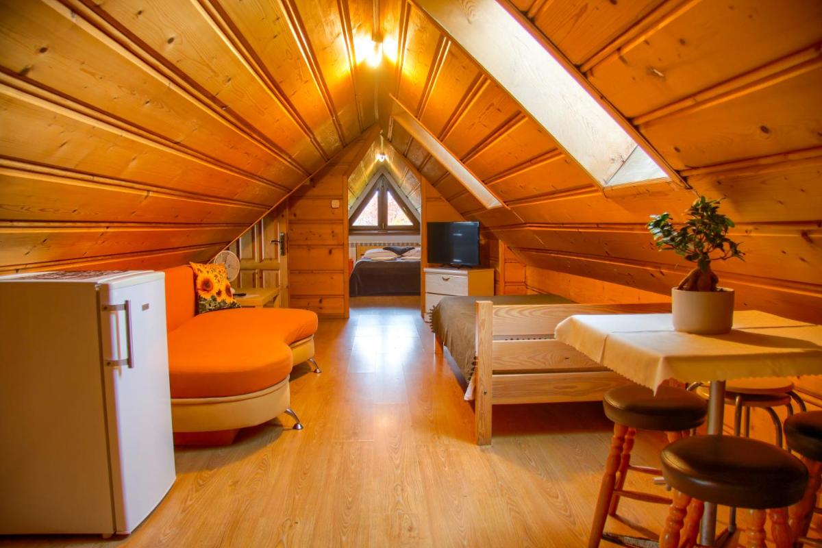 Family Room - Attic photo 1