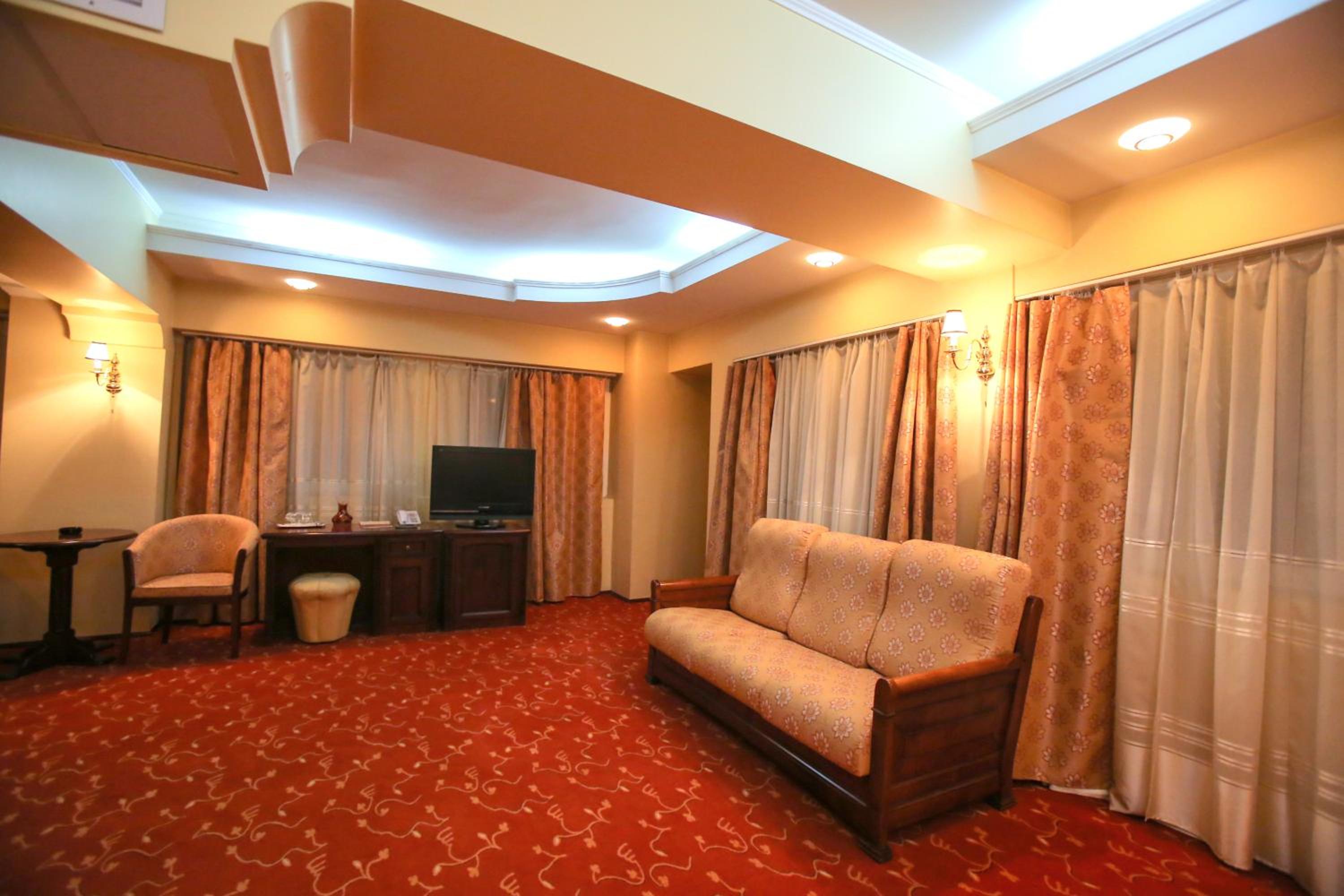 Premium Suite - Photo 8