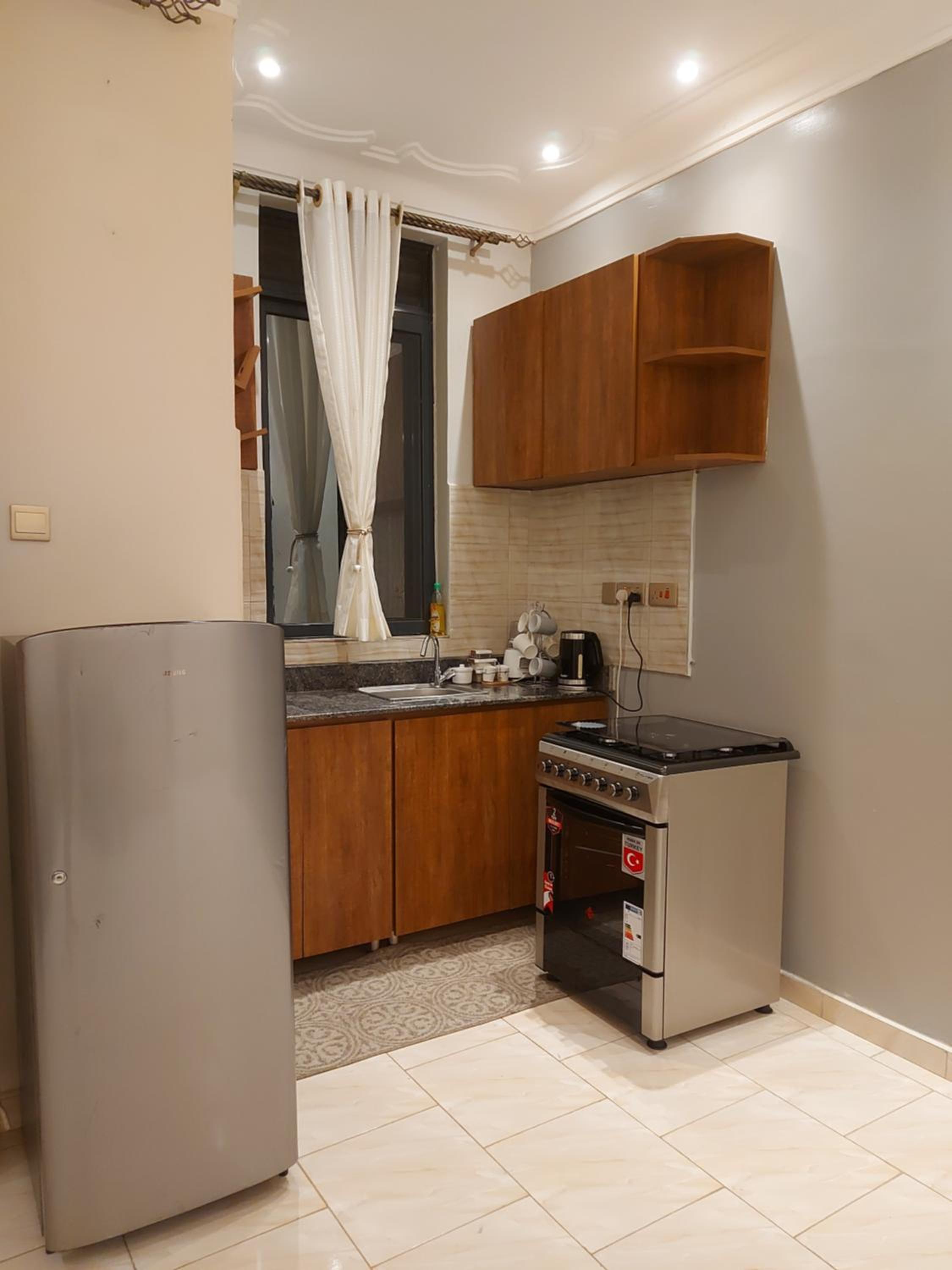 One-Bedroom Apartment photo 3