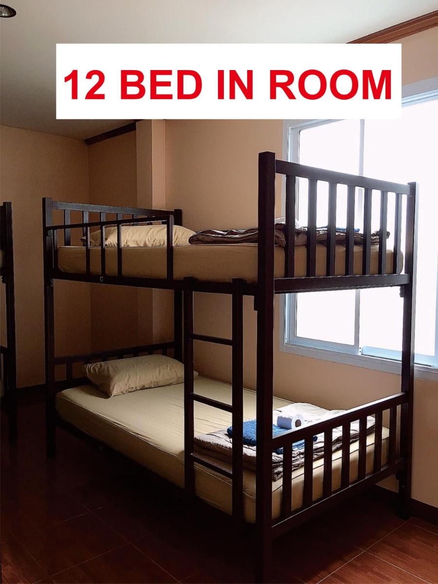 Bunk Bed in Mixed Dormitory Room photo 1