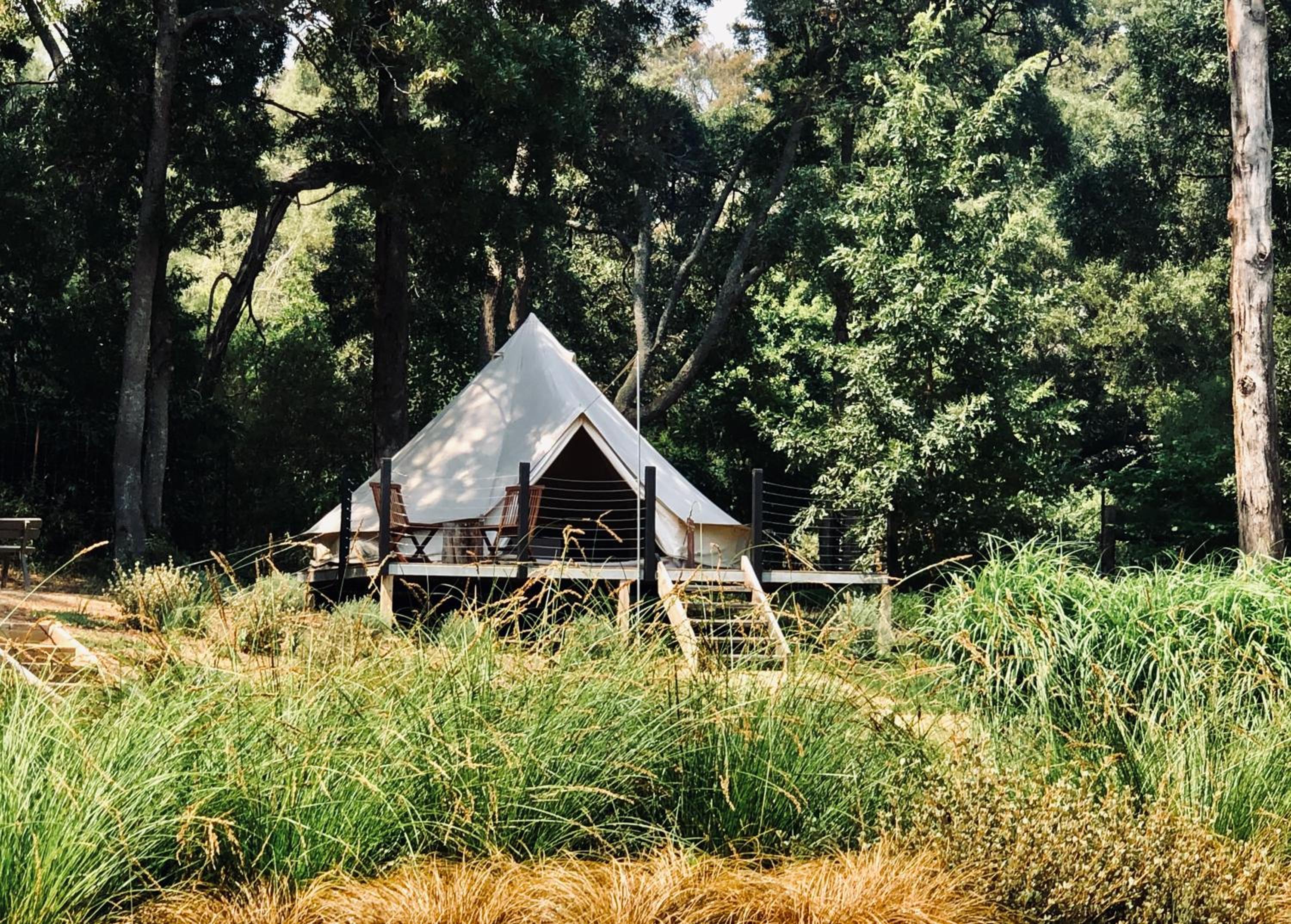 Tent photo 1