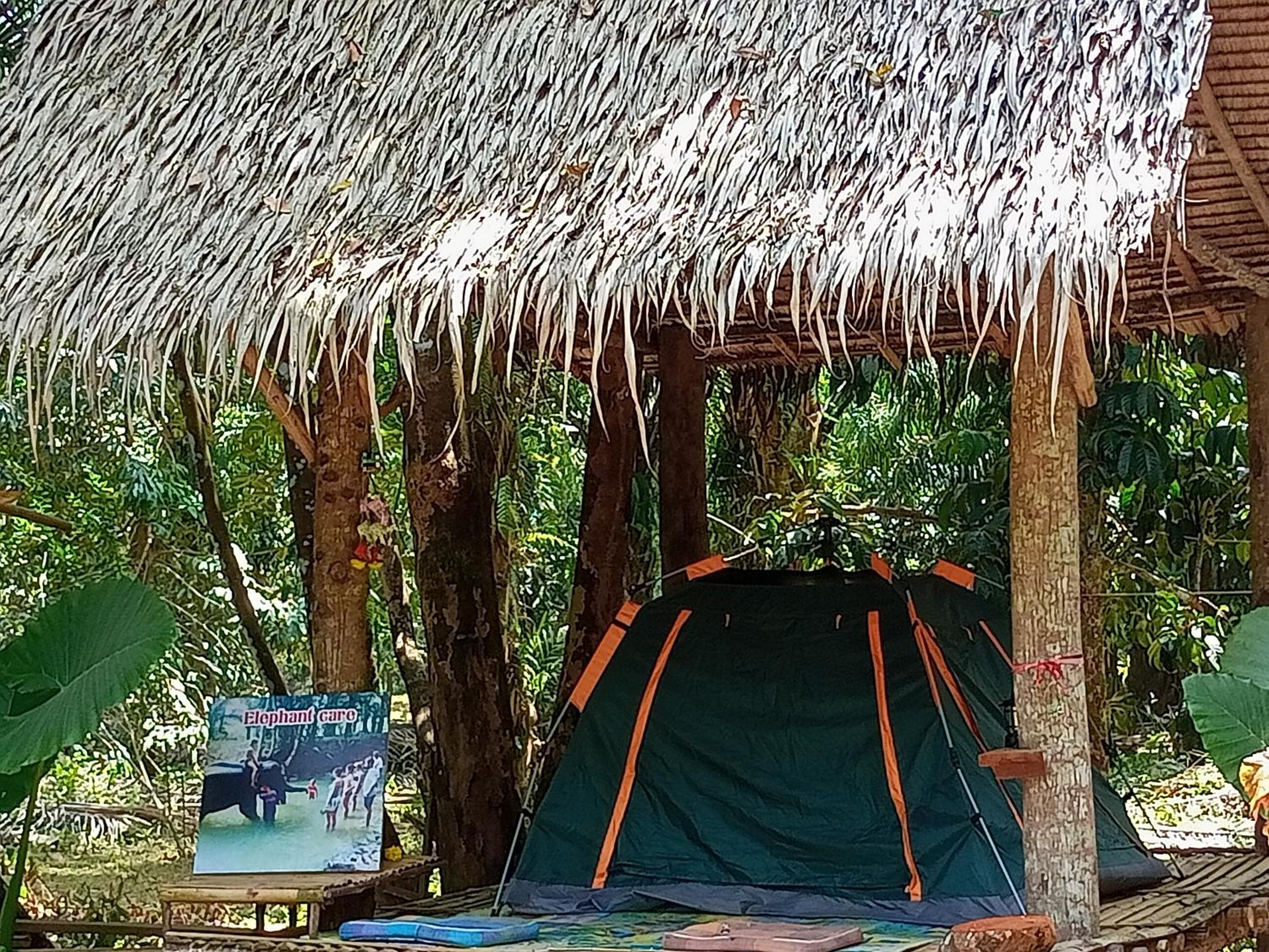 Tent - Photo 3