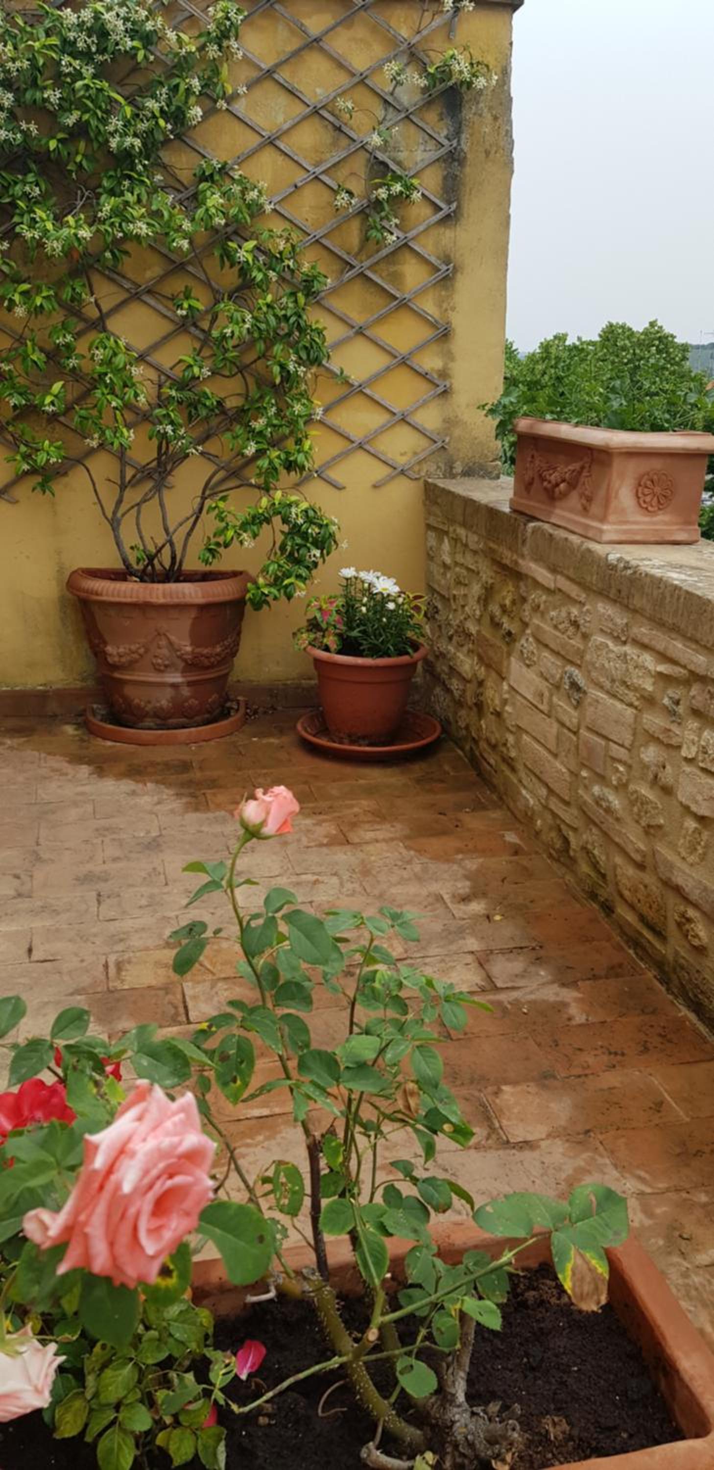Double Room with Terrace - Photo 5