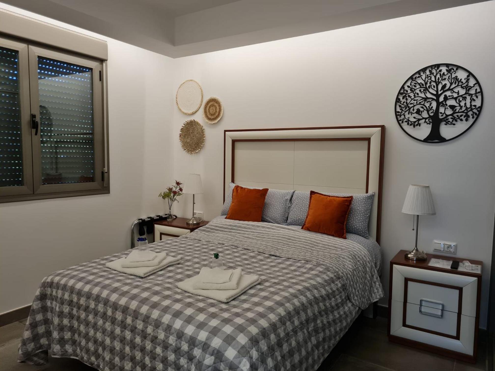 Deluxe Double or Twin Room photo 2