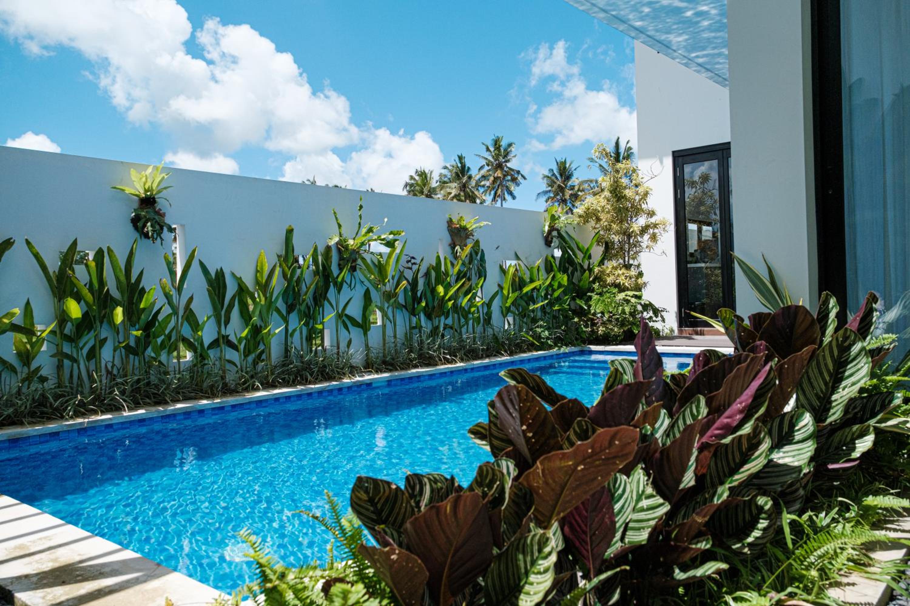 One-Bedroom Villa - Photo 3