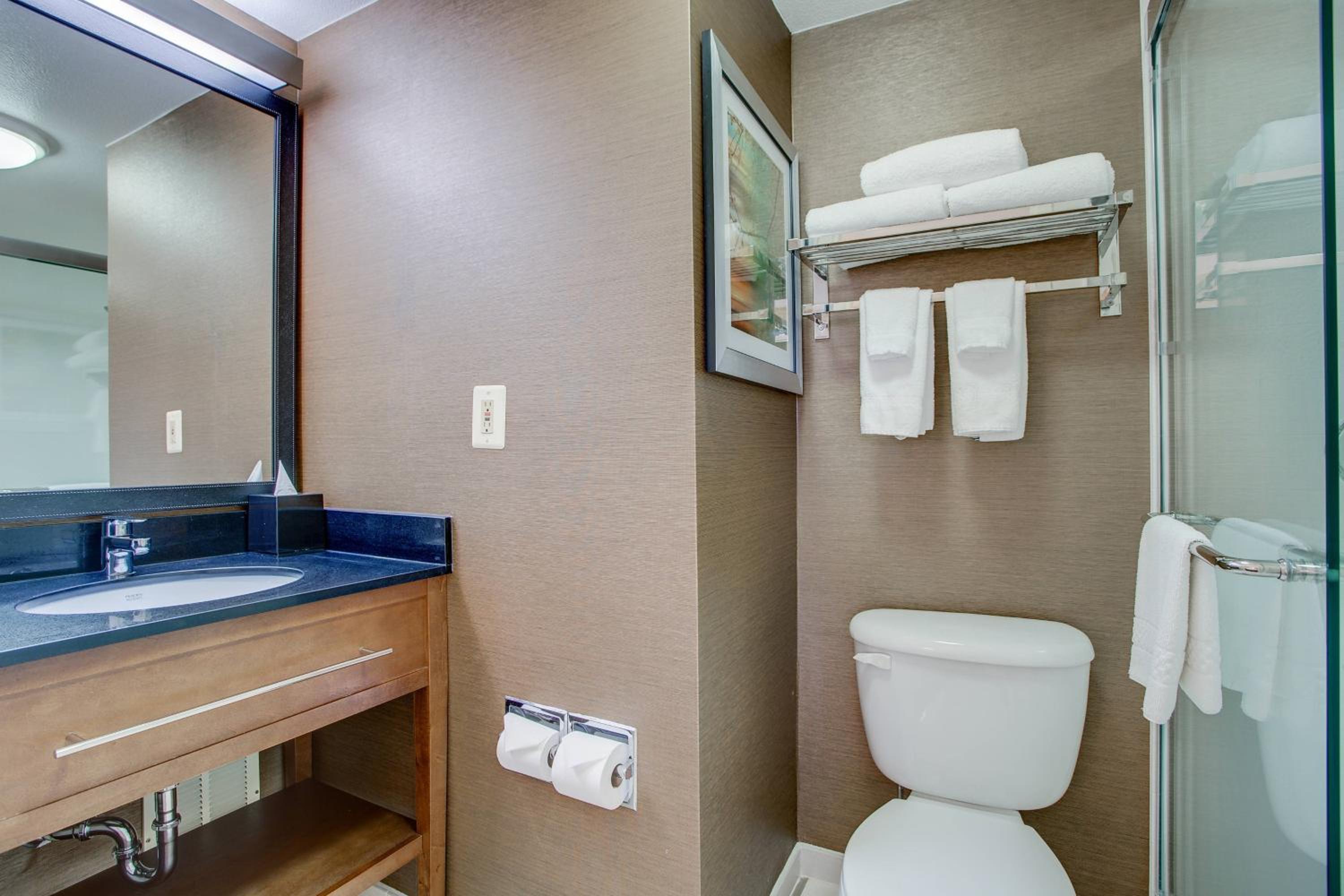 King Room with Sofa Bed and Adapted Tub - Mobility and Hearing Accessible - Photo 8