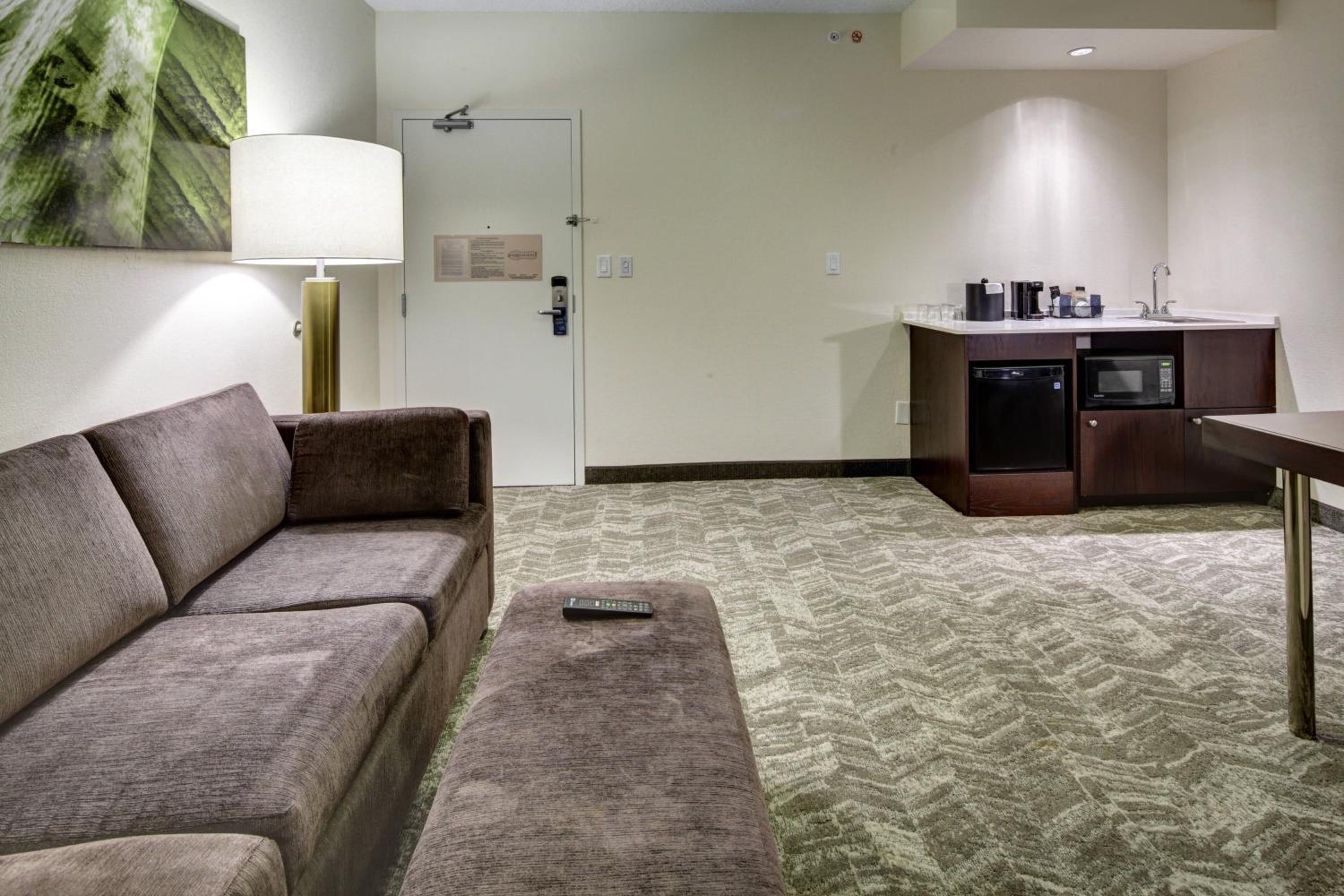 Suite with Sofa Bed