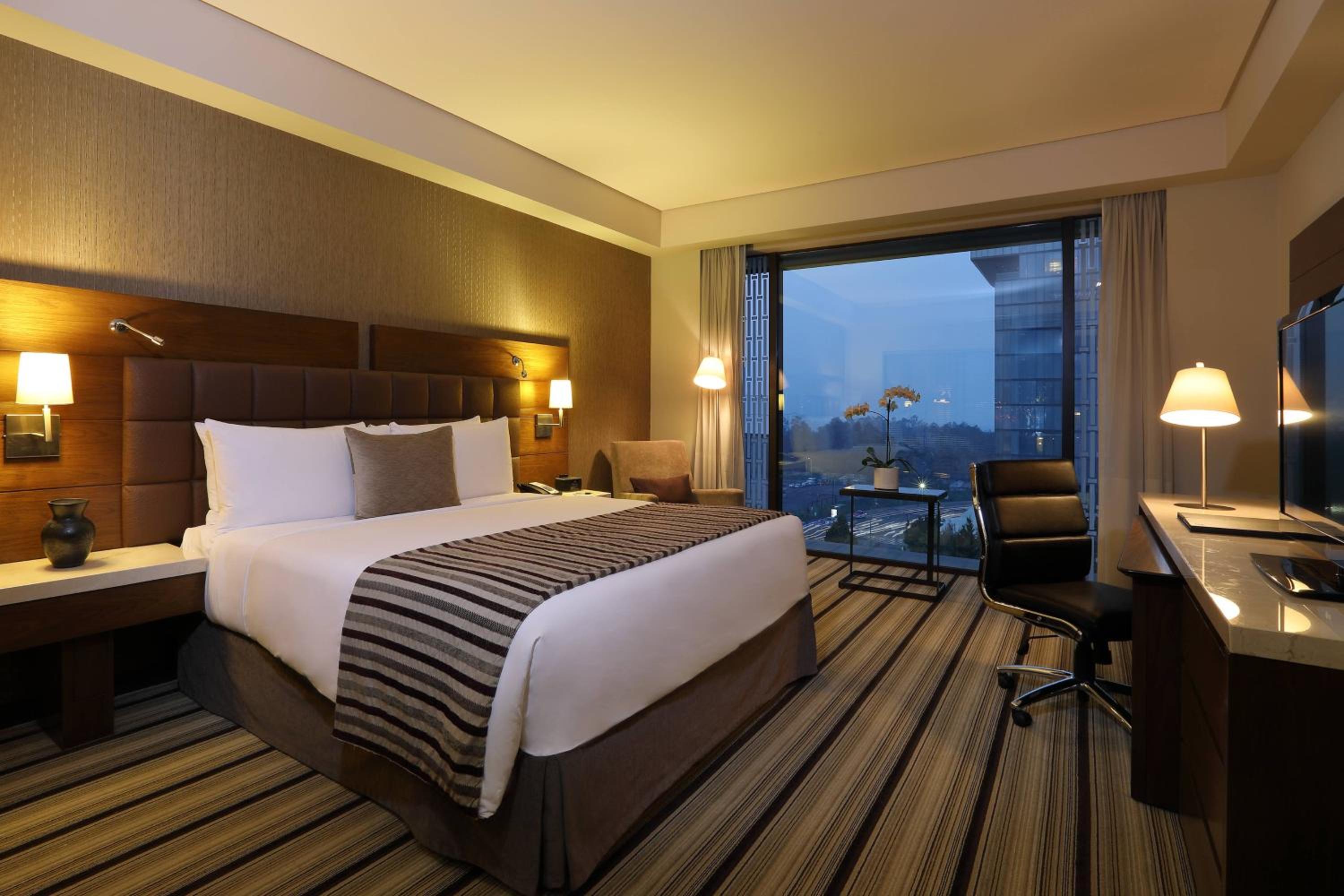 Deluxe Guest room, 1 King Bed, City view                   - Photo 6
