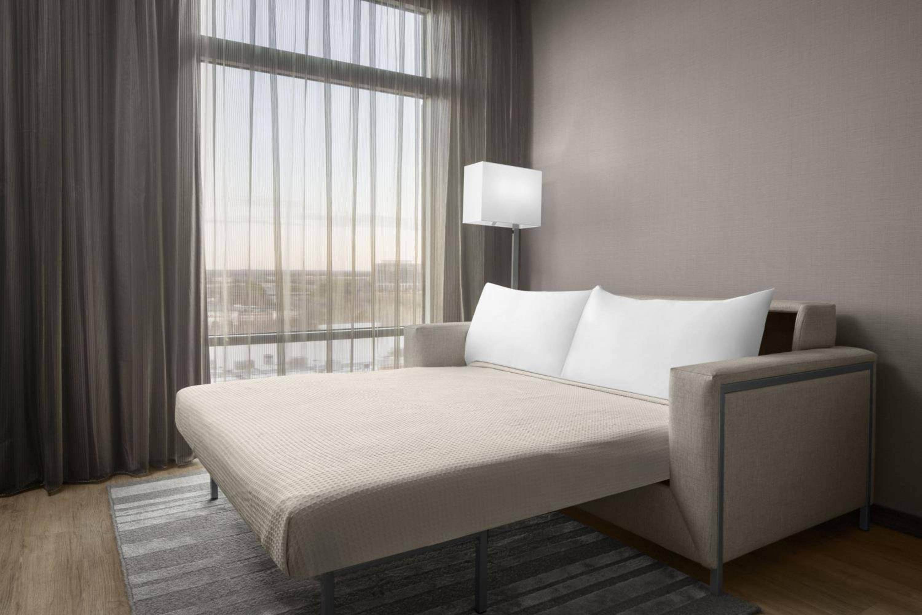 King Guest Room, Guest room, 1 King, Sofa bed (Mobility Accessible w/ Roll-in Shower)