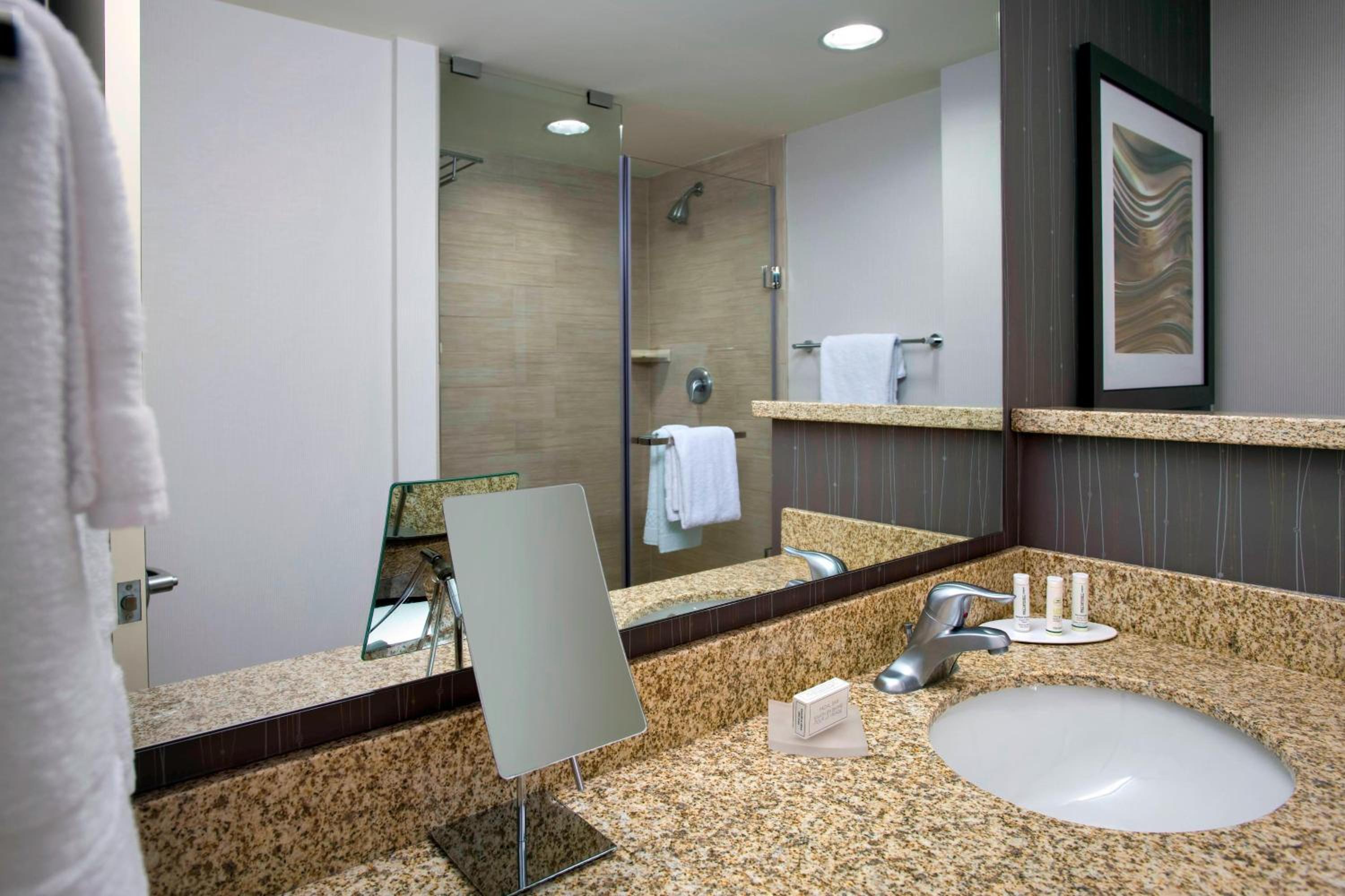 King Room with Sofa Bed and Roll-in Shower - Mobility and Hearing Accessible photo 3