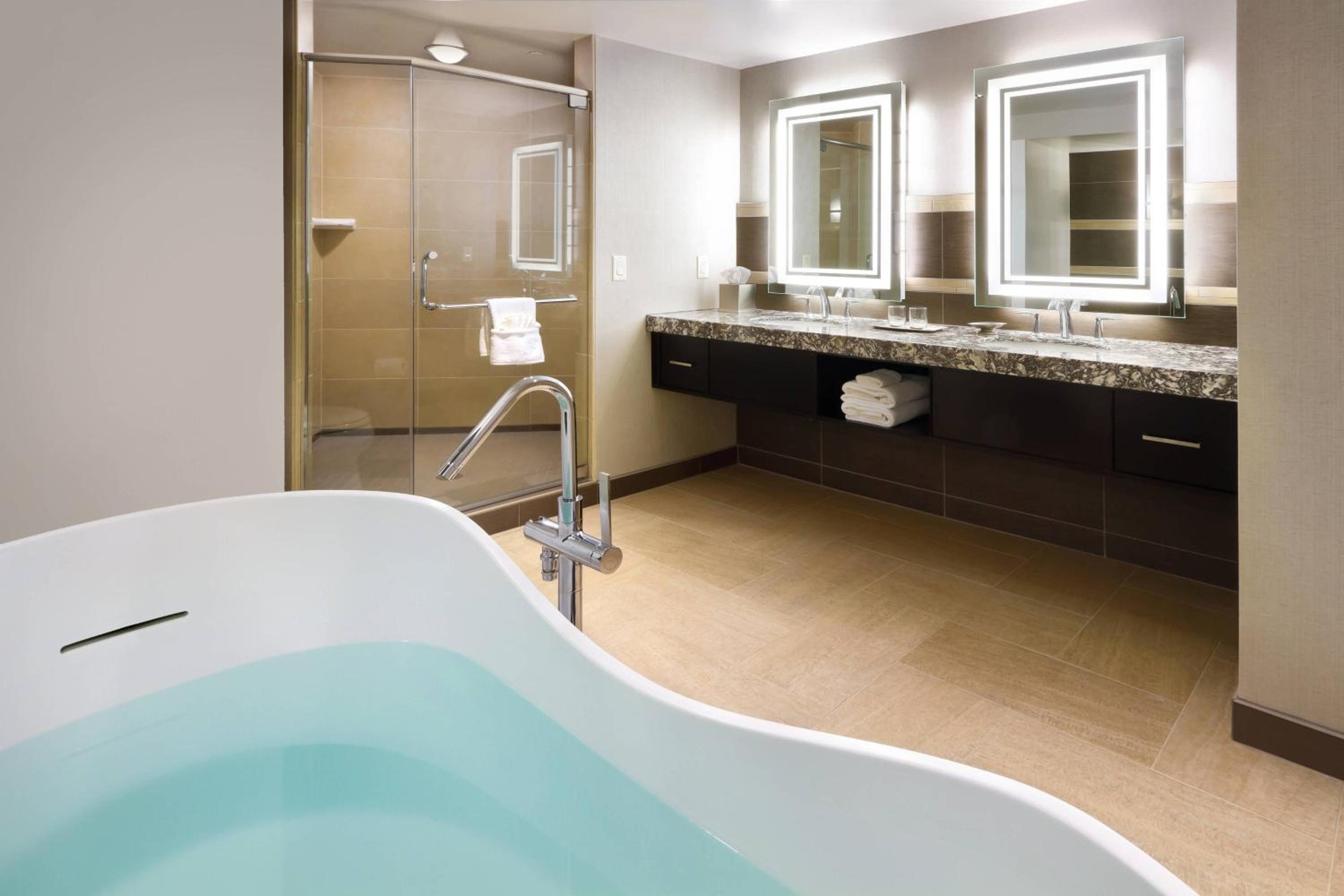 Presidential King Suite with River View photo 3