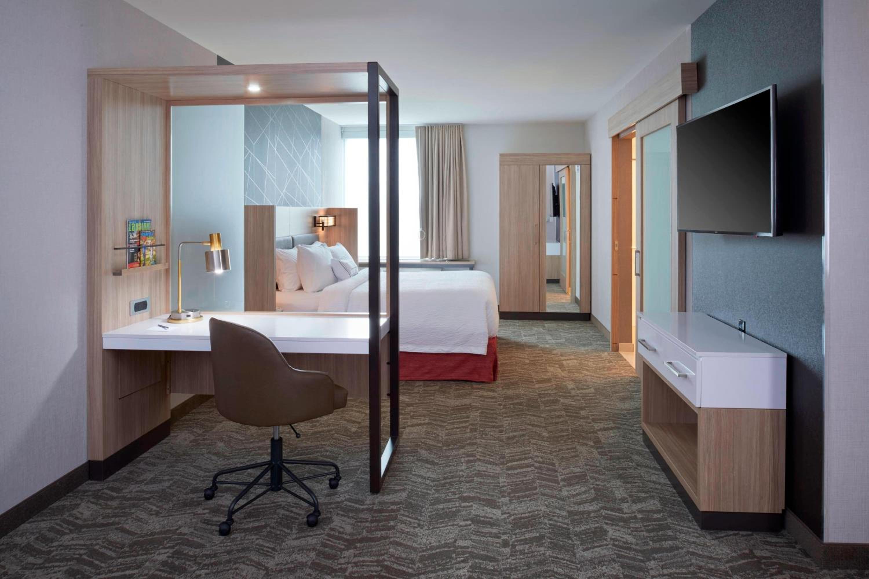 Suite, 1 King, Trundle bed photo 3