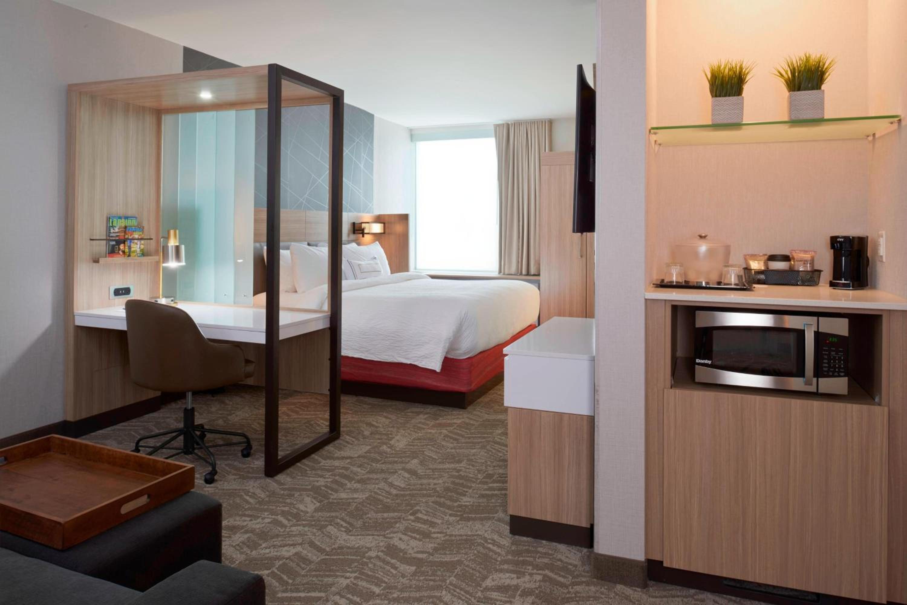 Suite, 1 King, Trundle bed photo 2