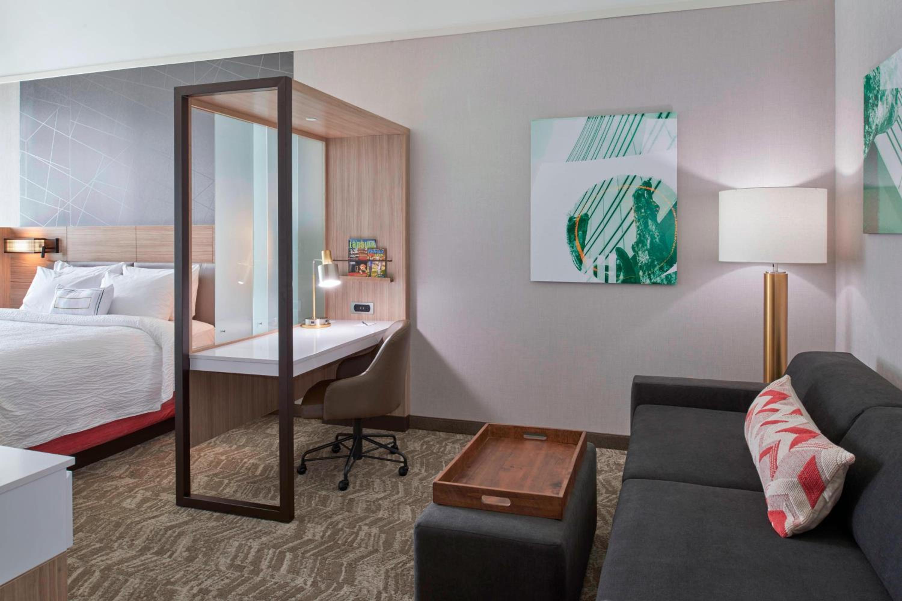 Suite, 1 King, Trundle bed photo 1