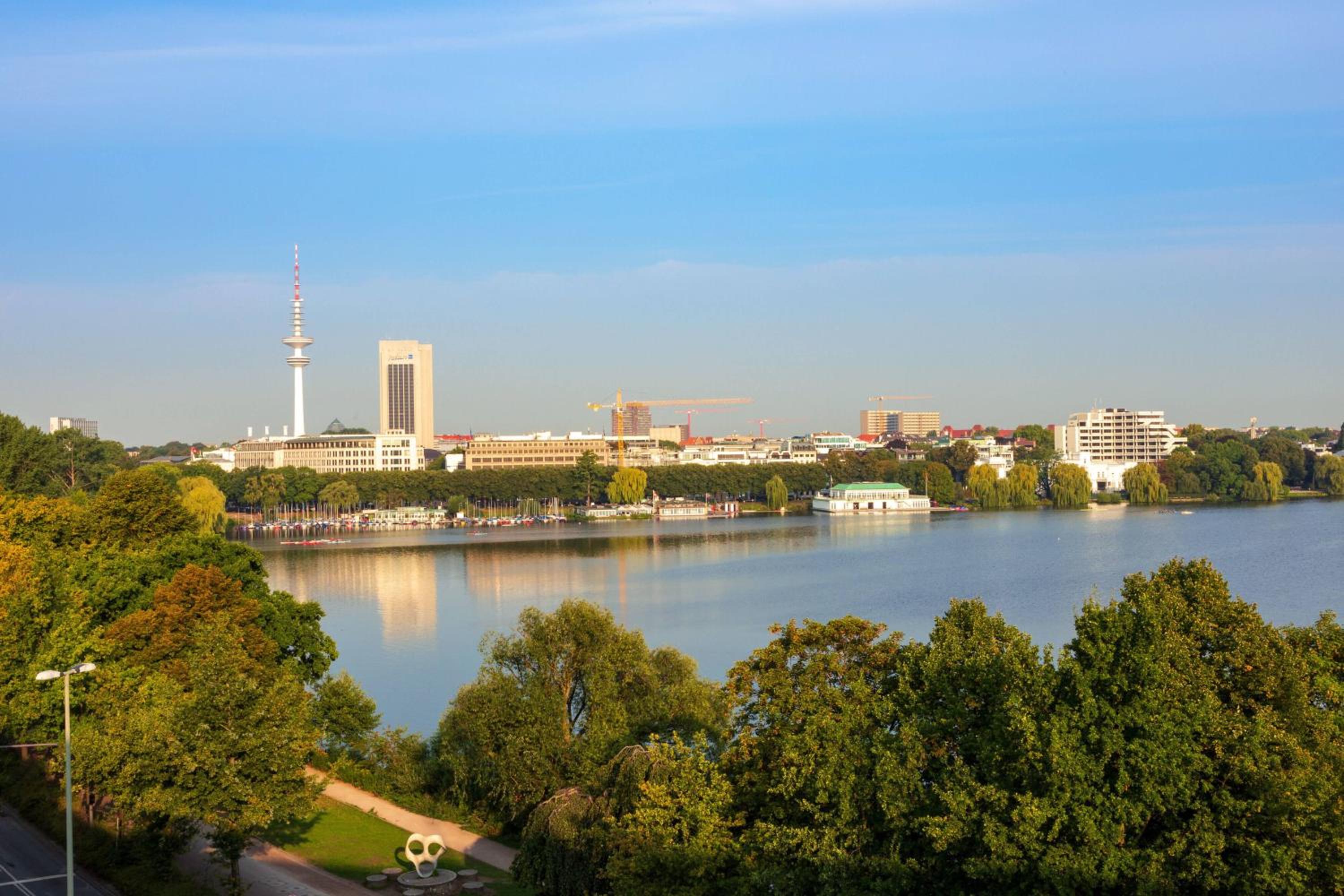 Superior 1 Bedroom Suite with 1 King, Lake view