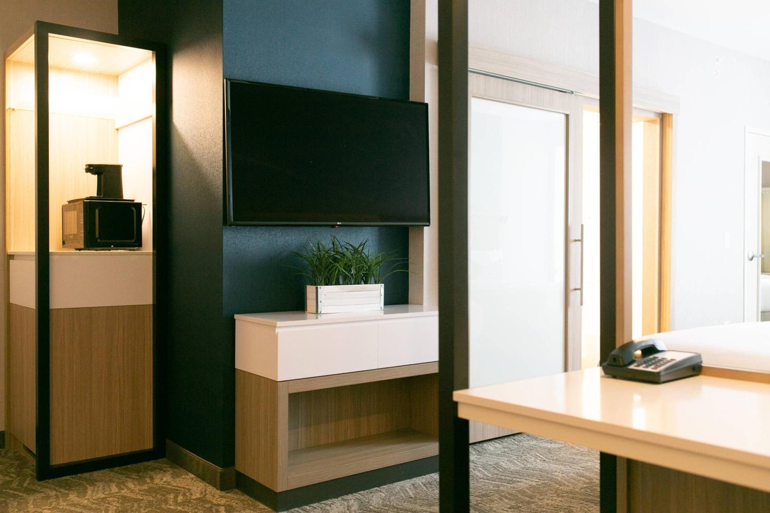 Suite, 1 King, Sofa bed - Photo 2