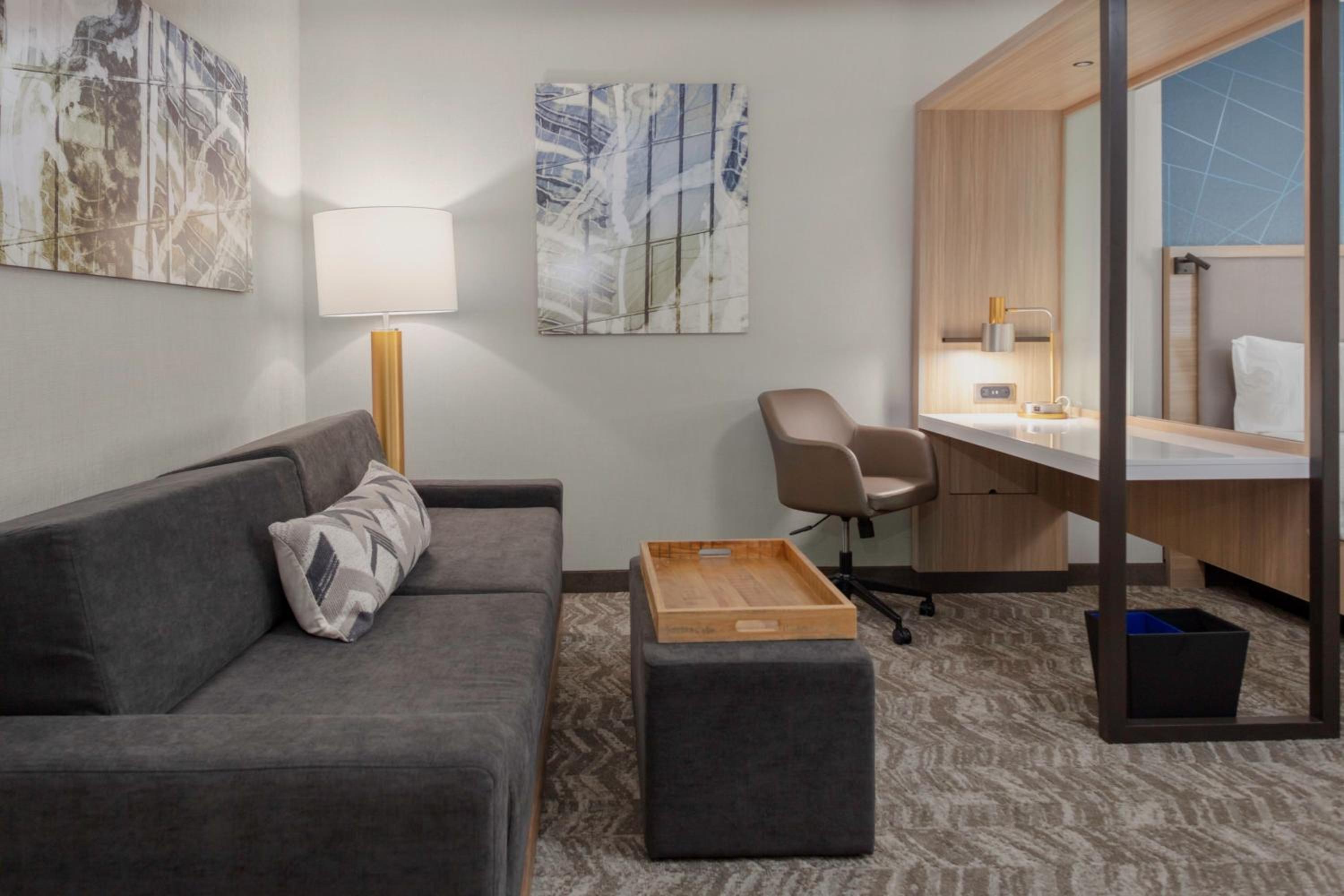 King Suite with Sofa Bed - Photo 3