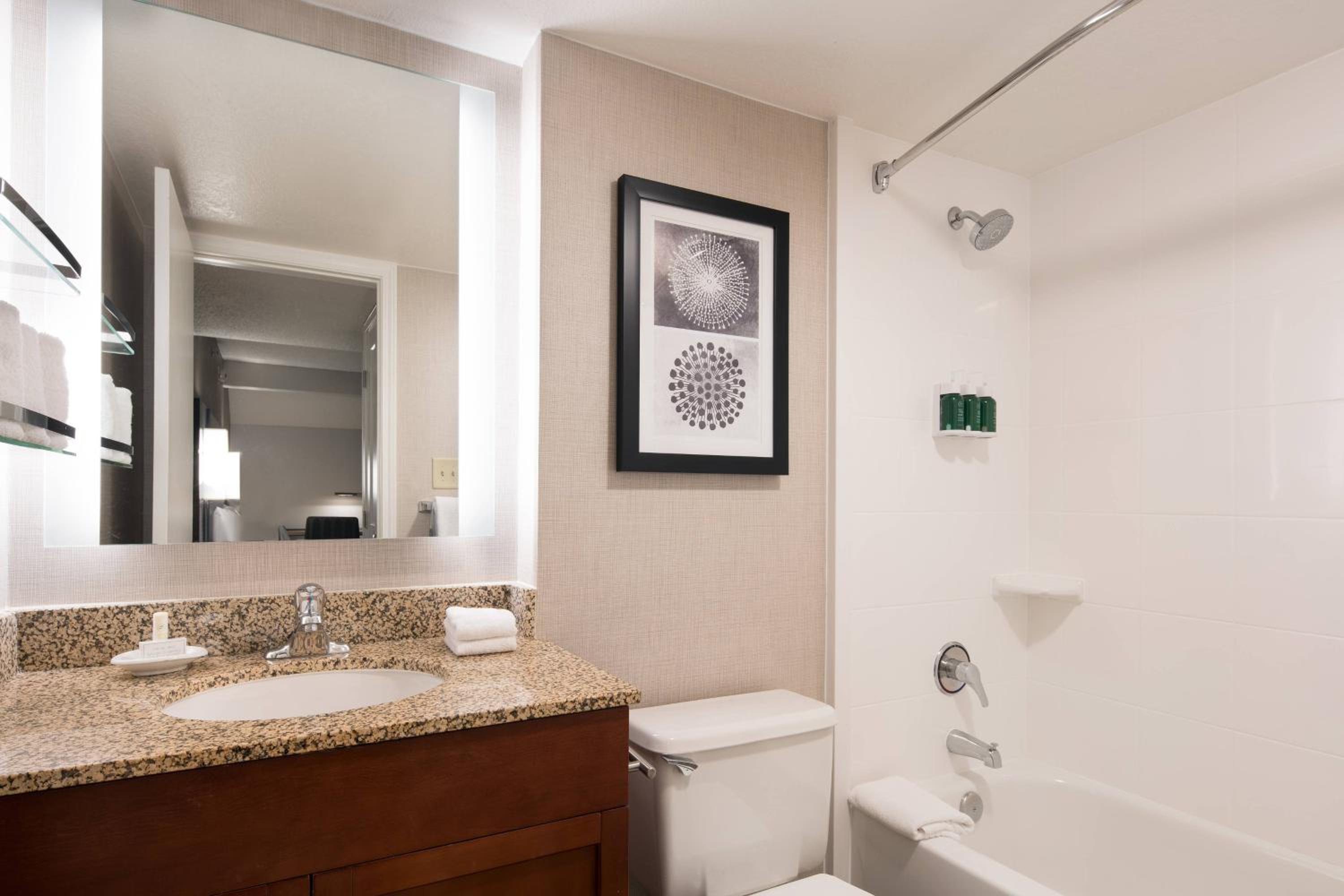 Two-Bedroom Penthouse Suite photo 3