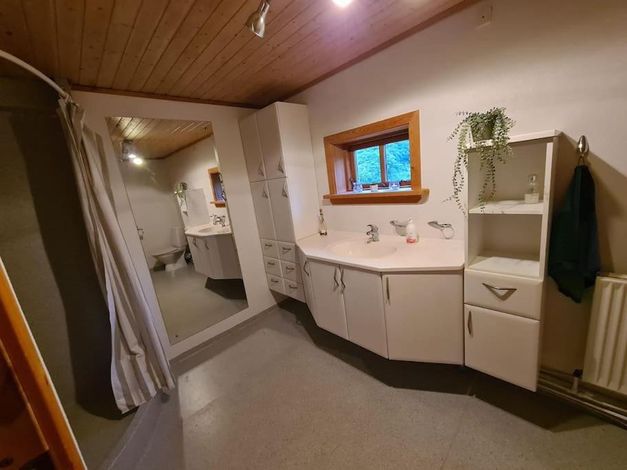 Four-Bedroom House photo 3