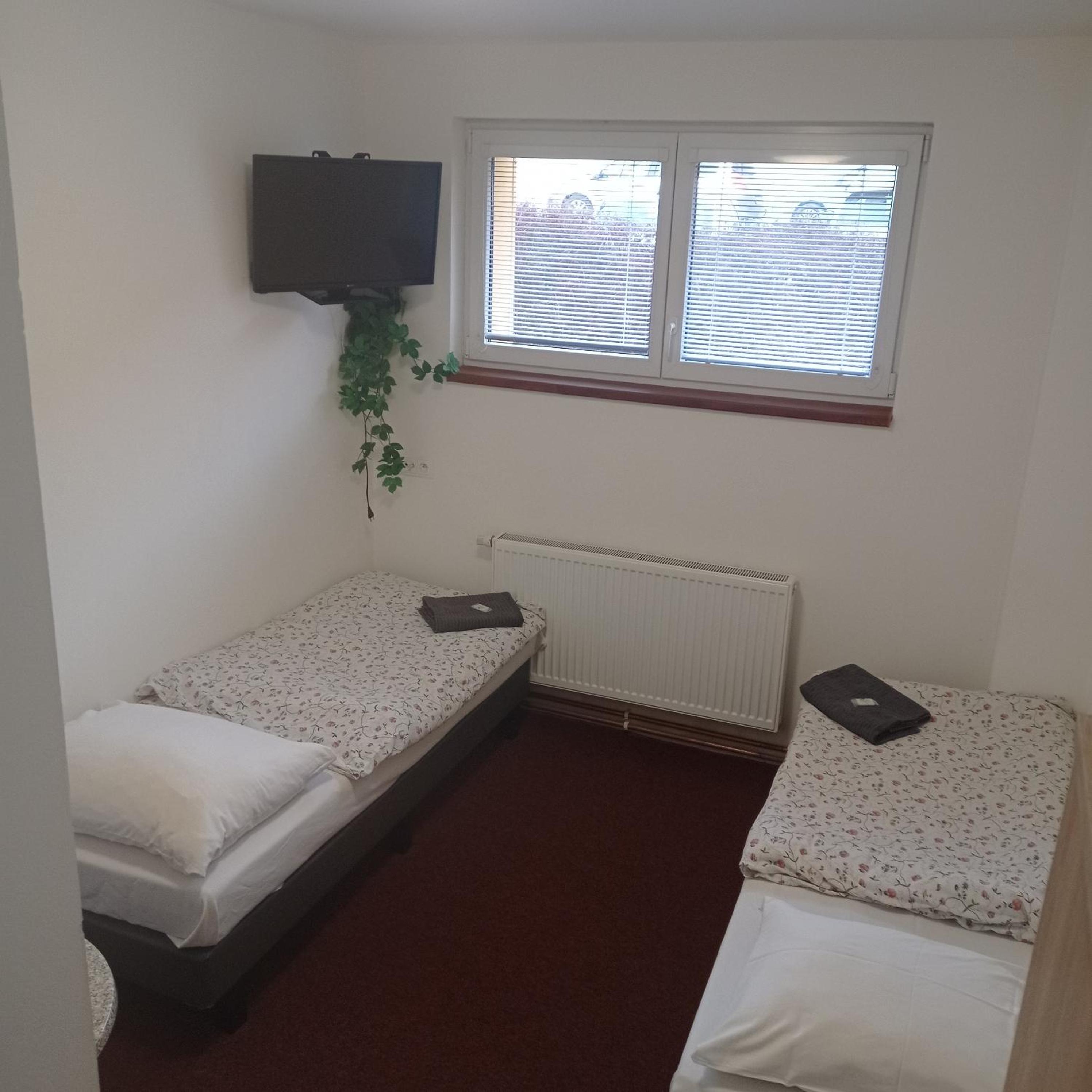 Standard Twin Room photo 1