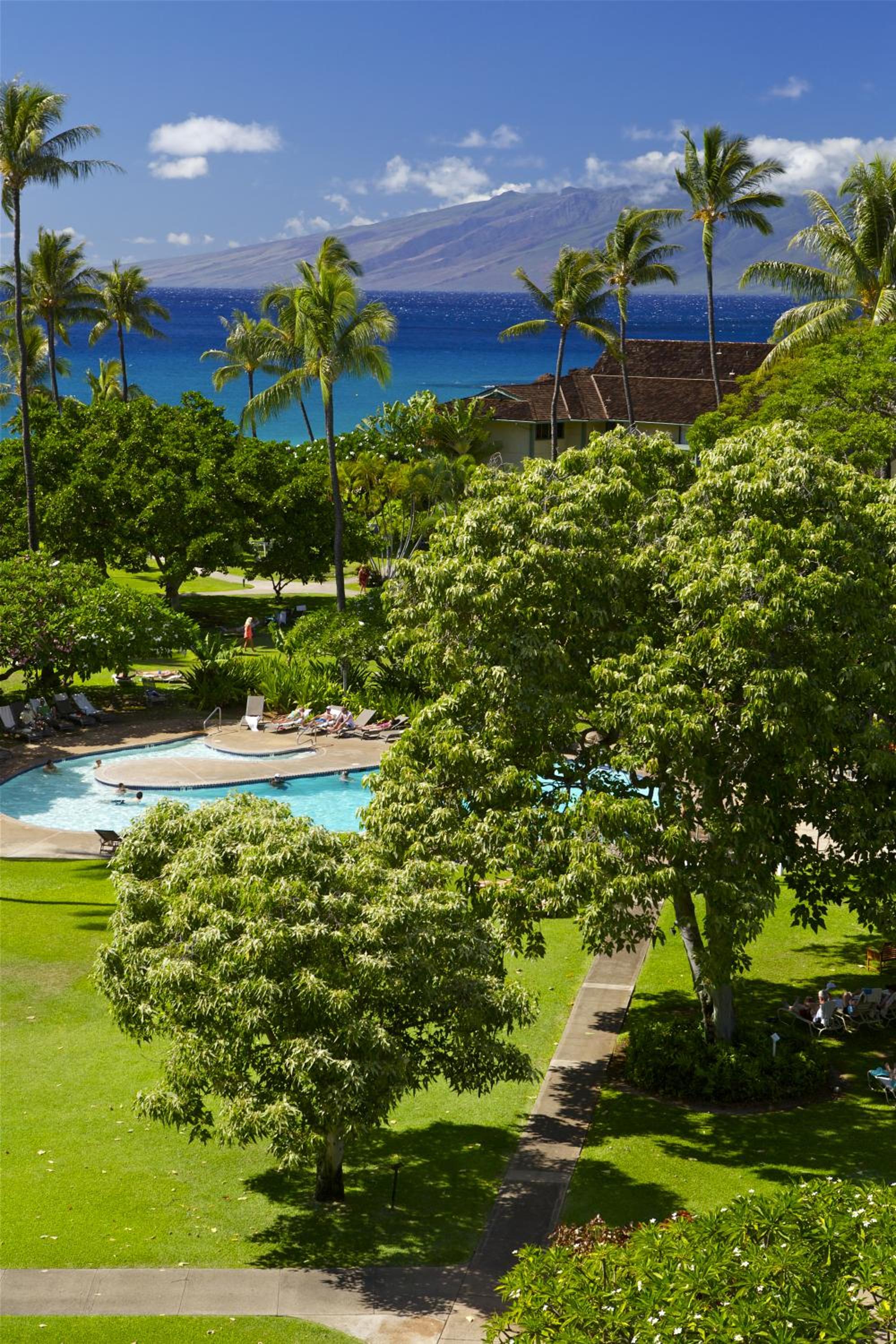 Signature Ocean View 2 Queen Beds thumbnail 6