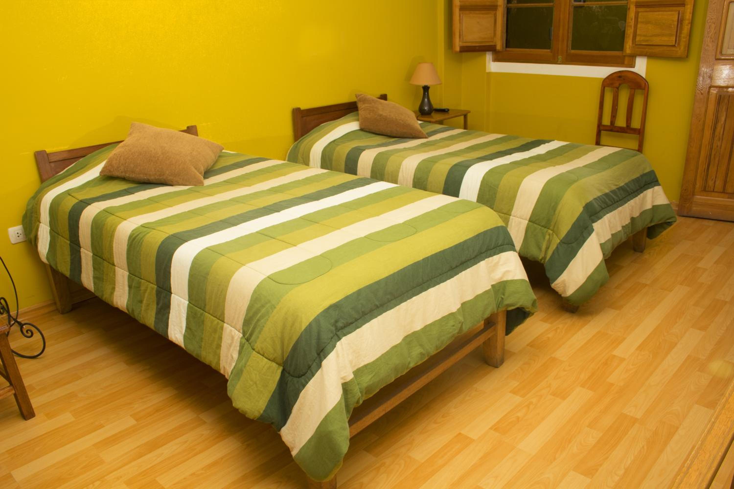 Twin Room photo 1