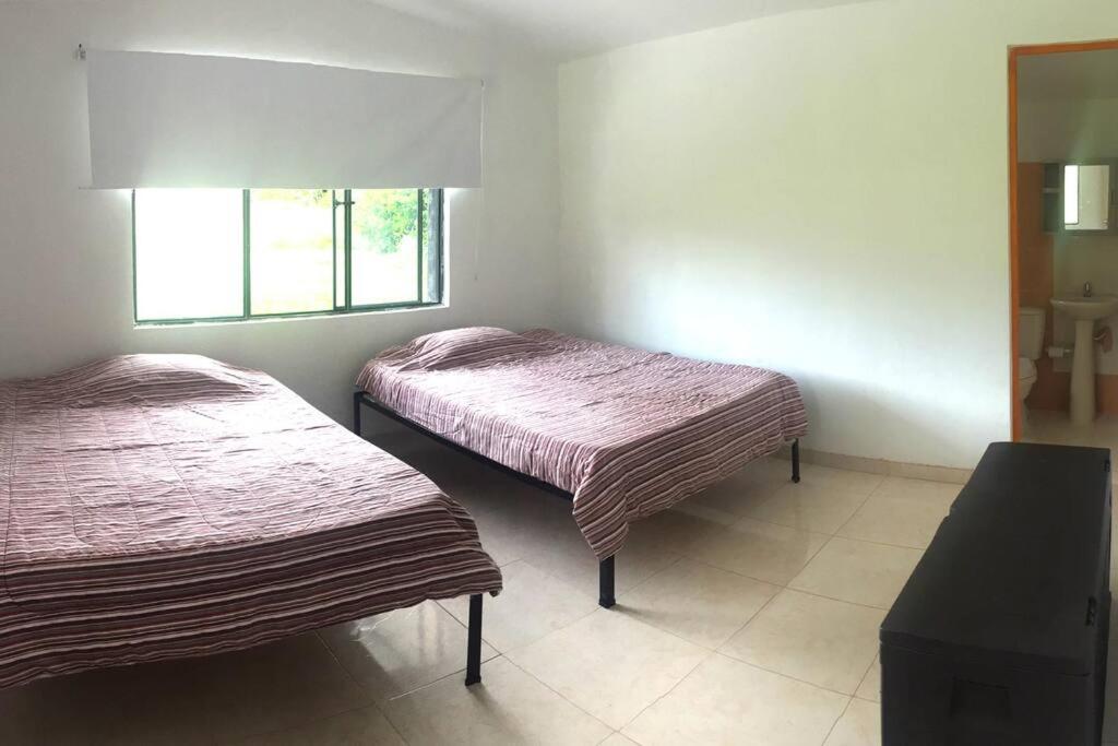 Two-Bedroom House photo 1