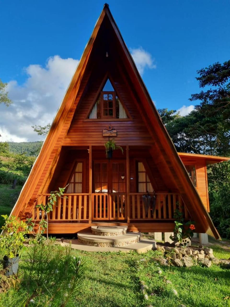 Family Bungalow photo 3