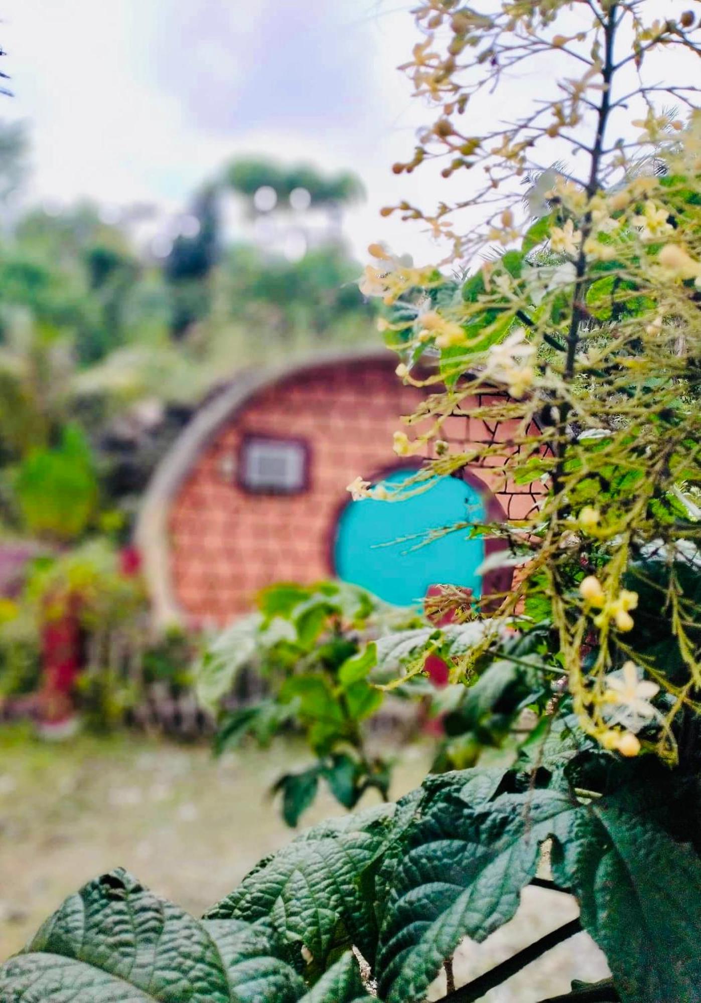 Hobbit Hut - AC/Ocean View - Photo 2