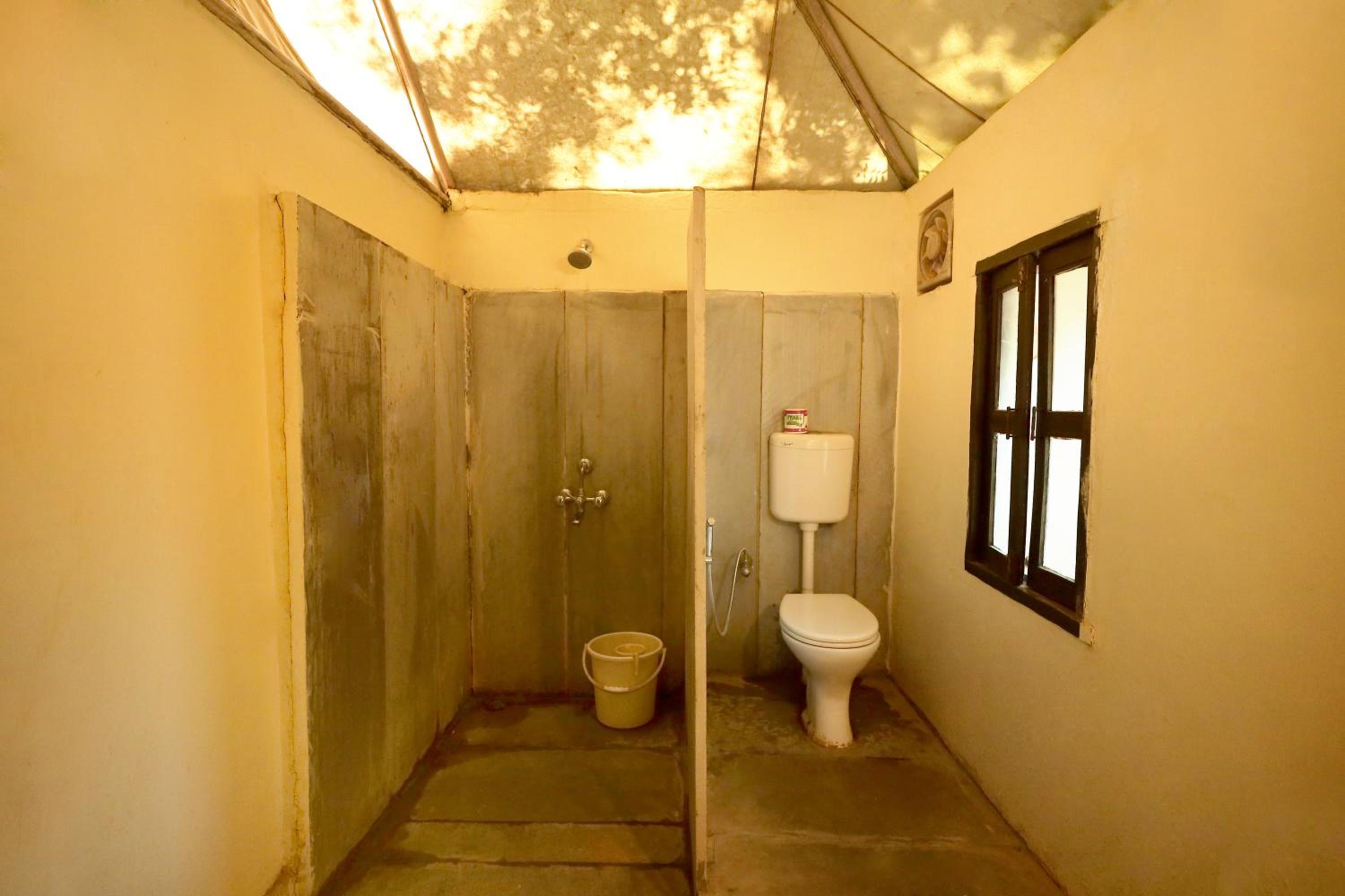 Tree House Cottage photo 2