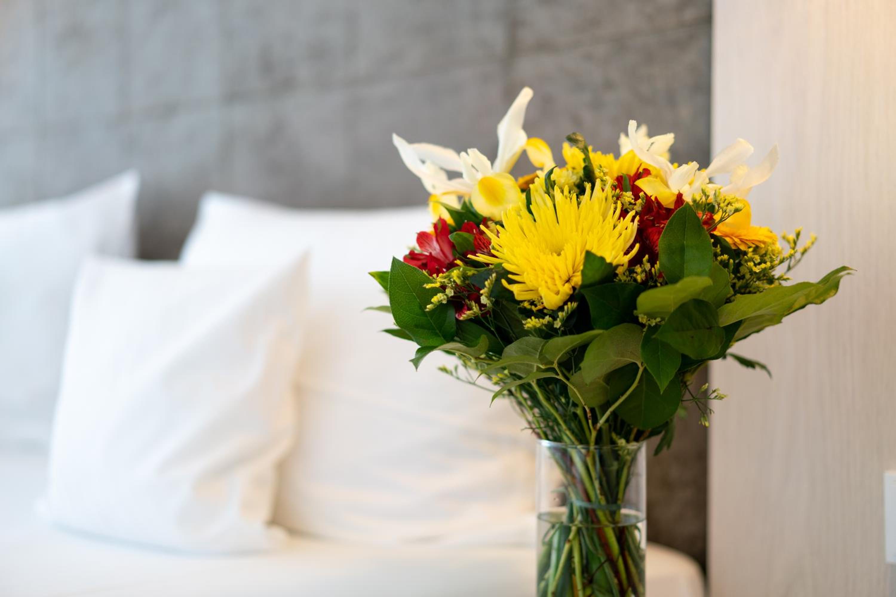 Premium Double or Twin Room photo 2