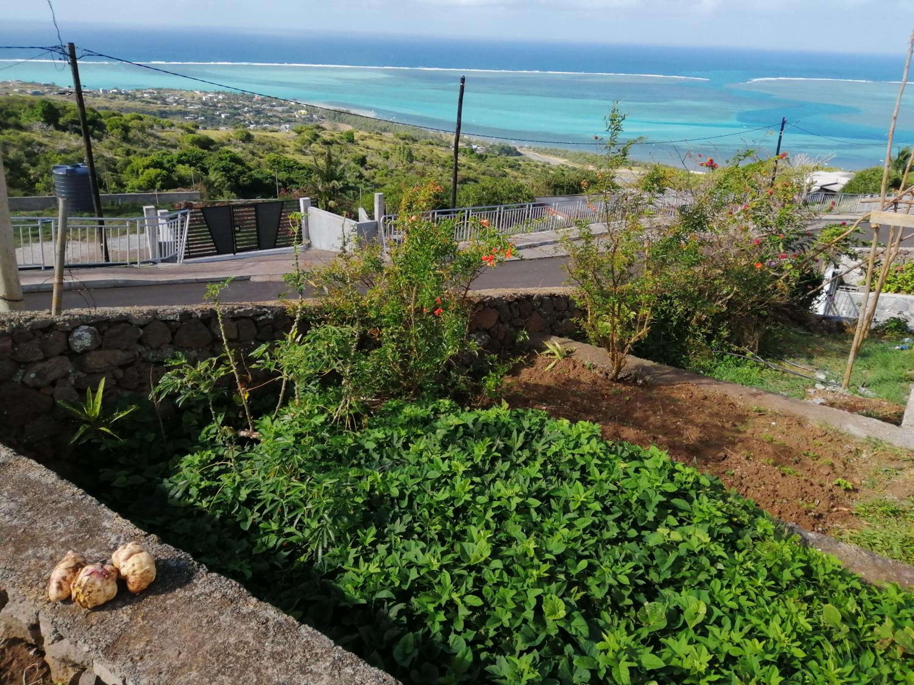 Apartment with Sea View photo 2