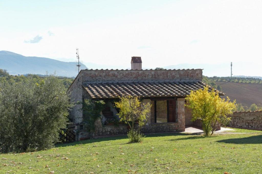 Superior Chalet photo 2